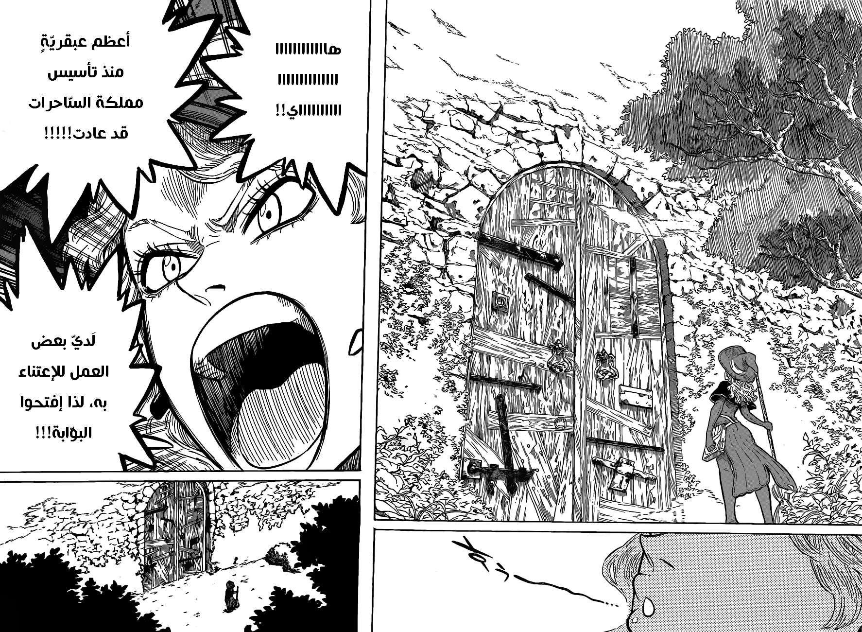 Read Black clover AR Manga Online