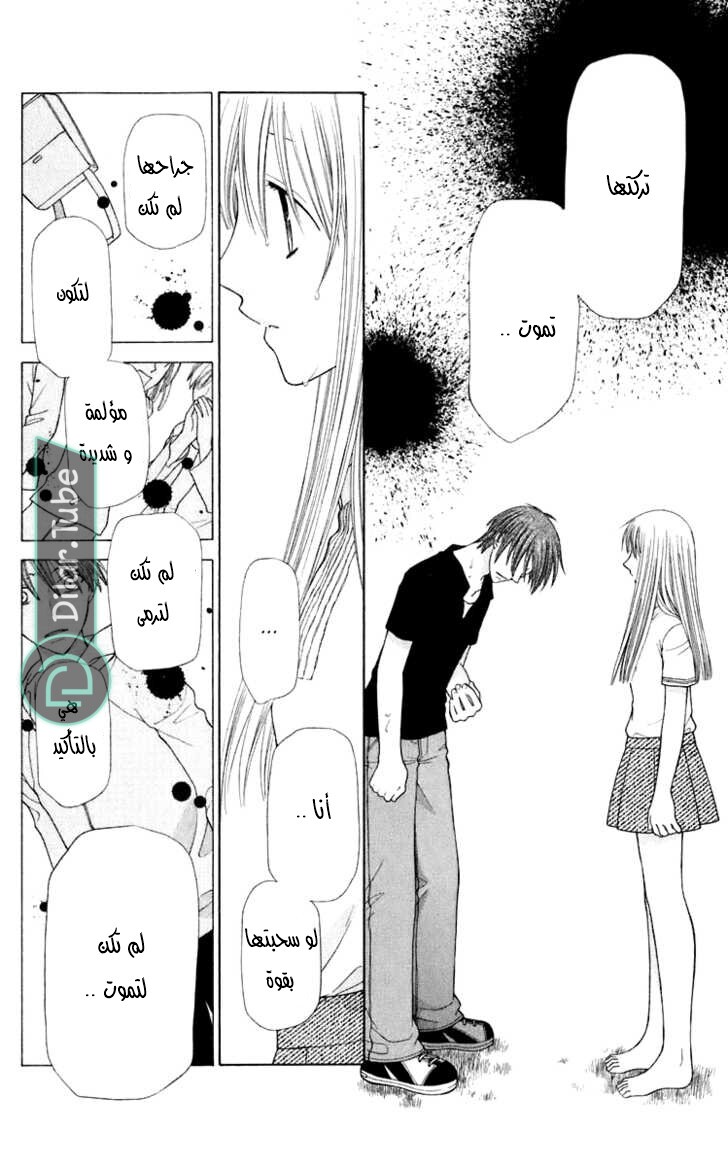 Read Fruits basket AR Manga Online