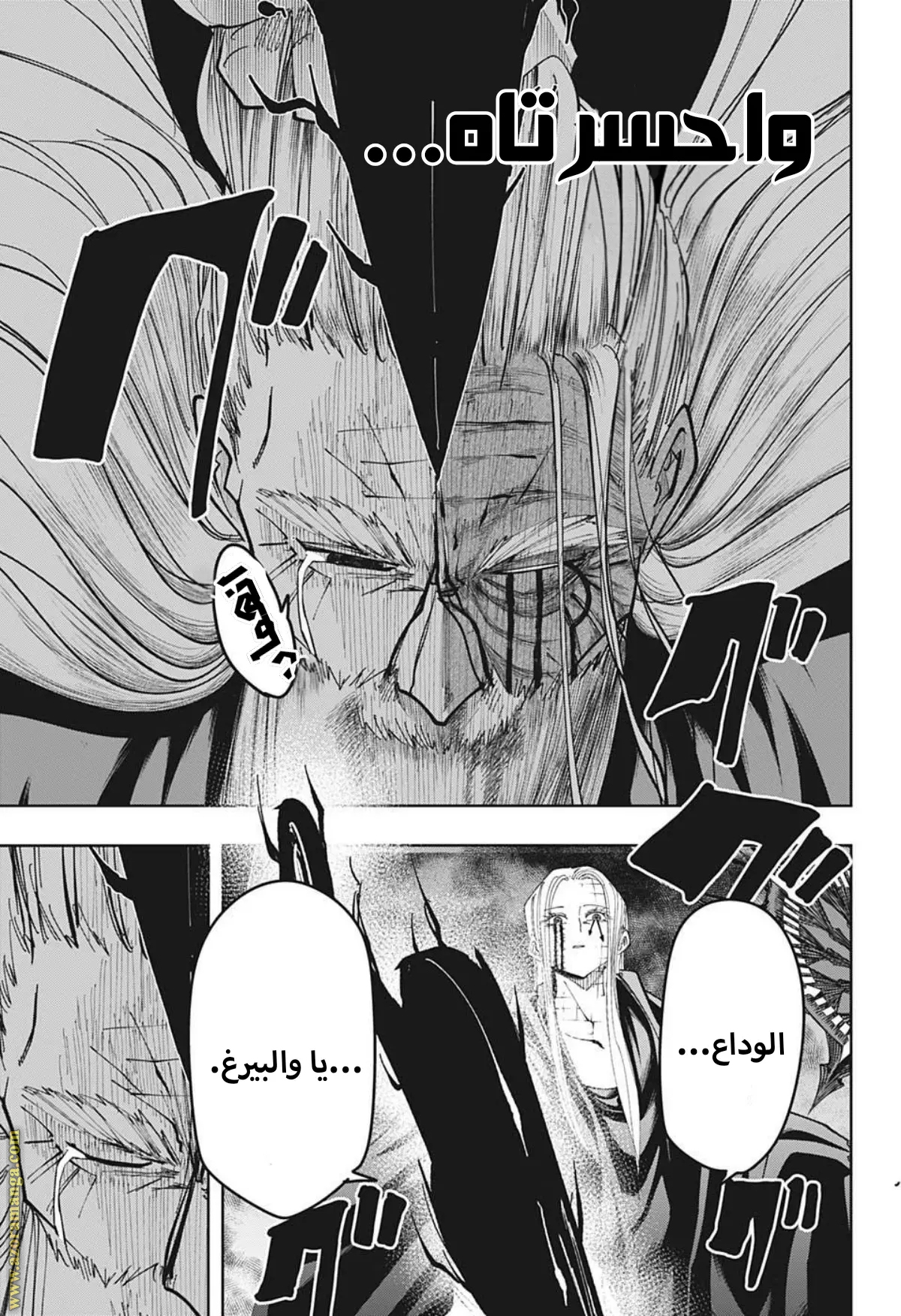 Read Mashle_ Magic and Muscles AR Manga Online