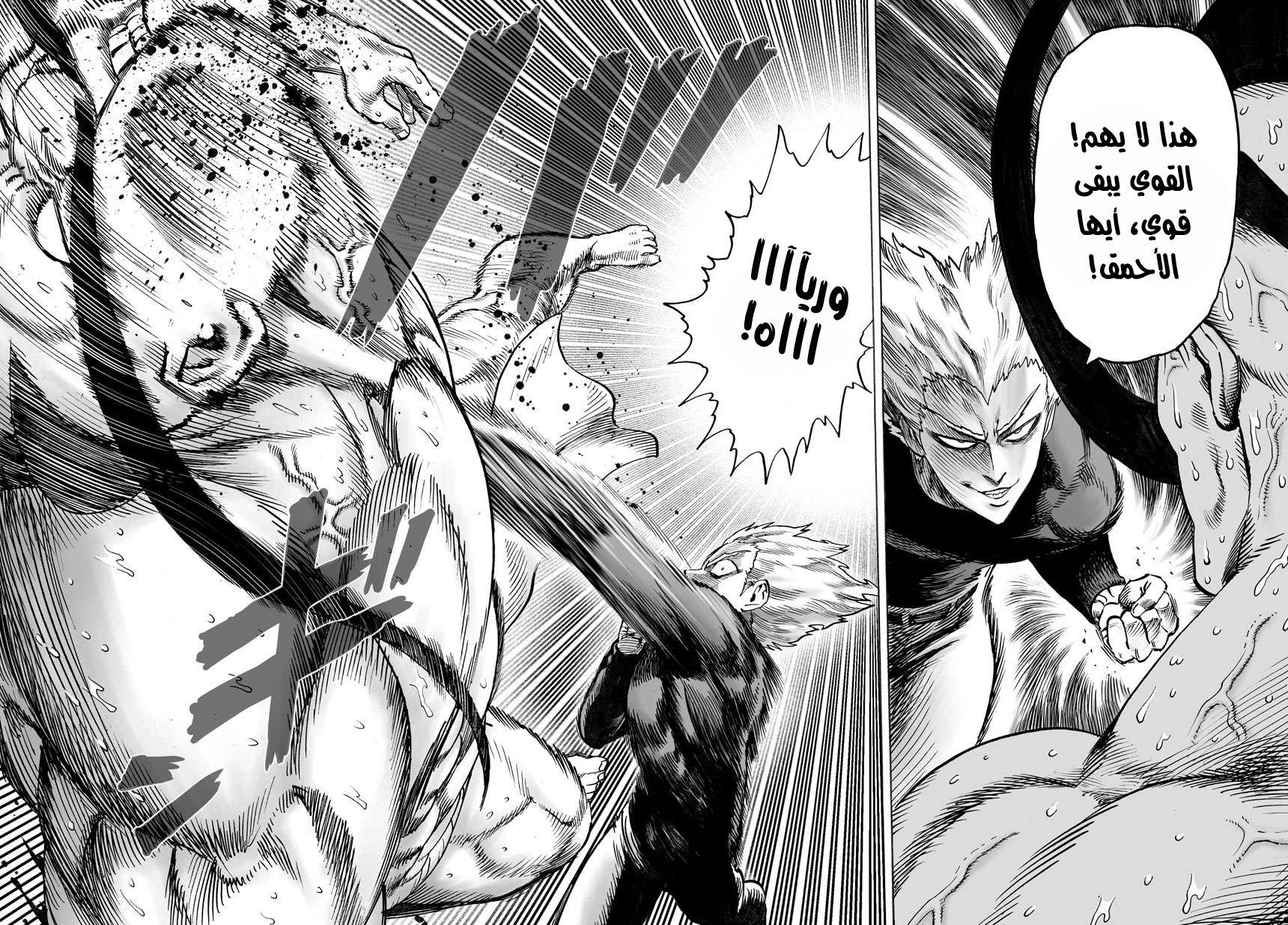 Read One Punch Man AR Manga Online