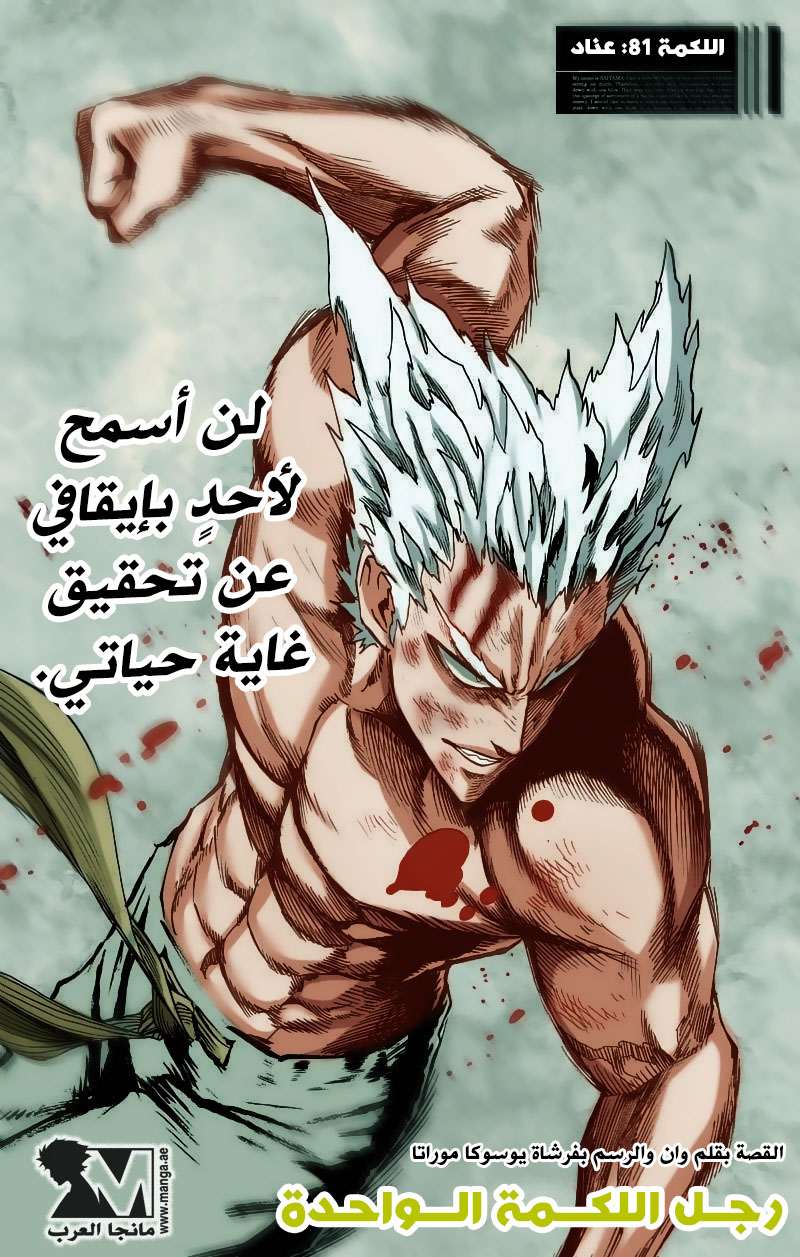 Read One Punch Man AR Manga Online
