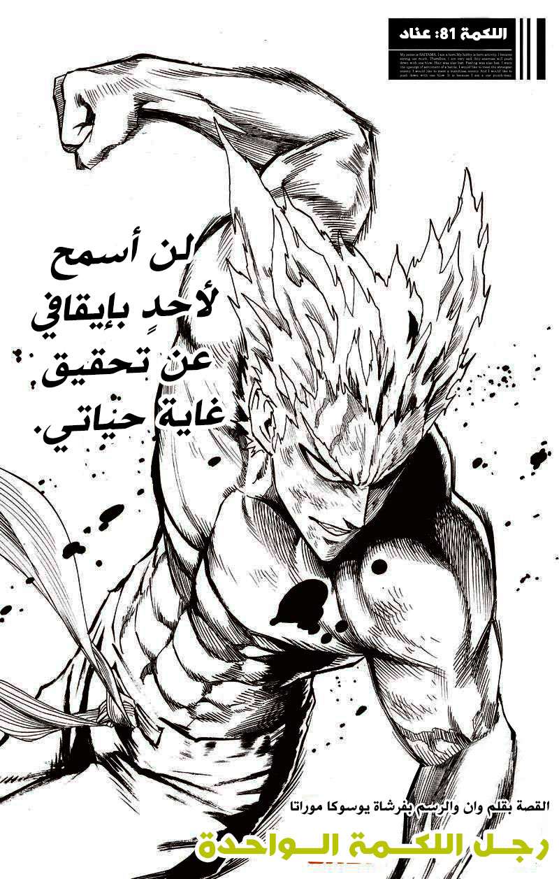Read One Punch Man AR Manga Online