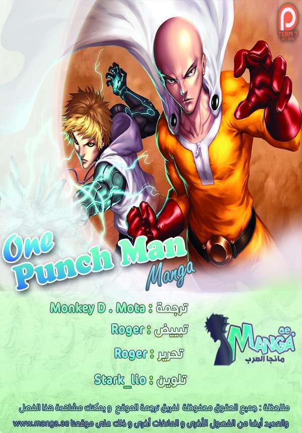Read One Punch Man AR Manga Online