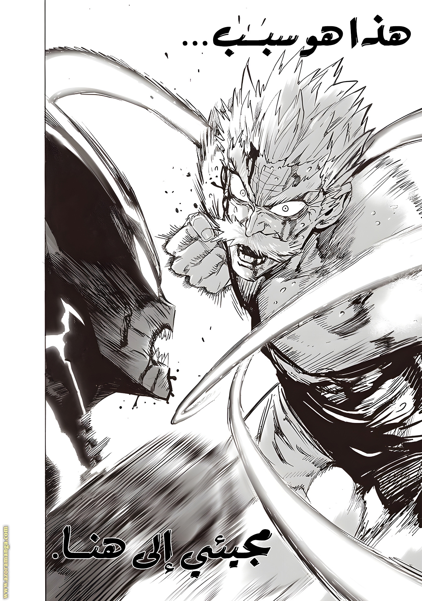 Read One Punch Man AR Manga Online