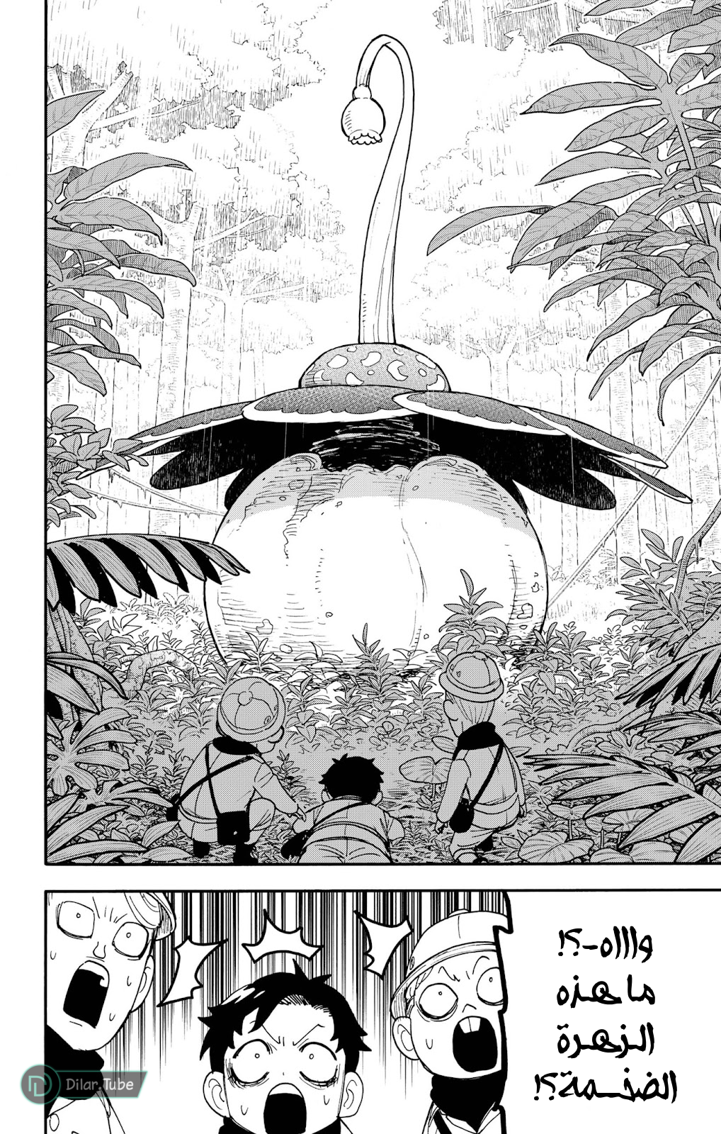 Read Spy x Family AR Manga Online