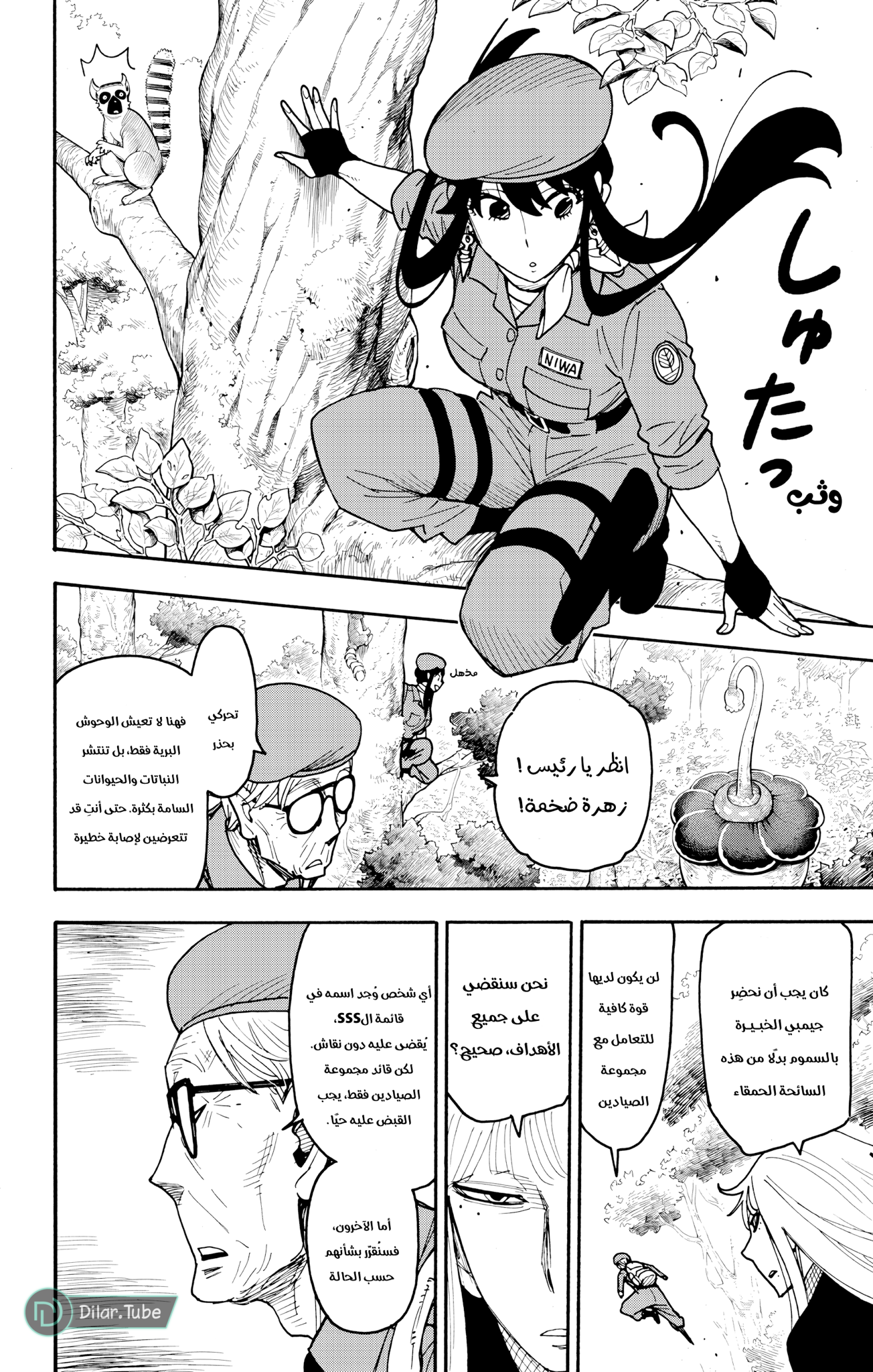 Read Spy x Family AR Manga Online