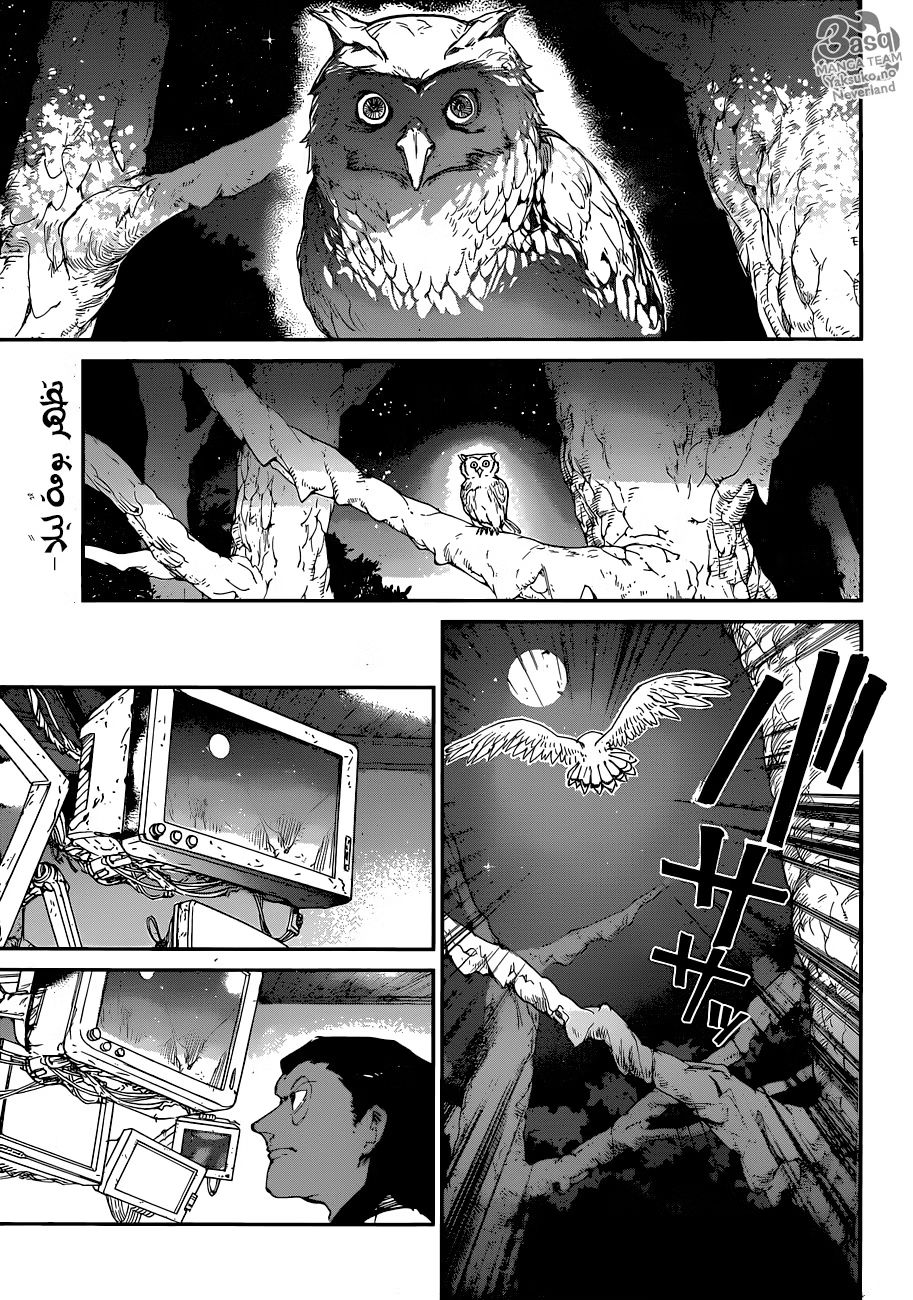 Read The Promised Neverland AR Manga Online