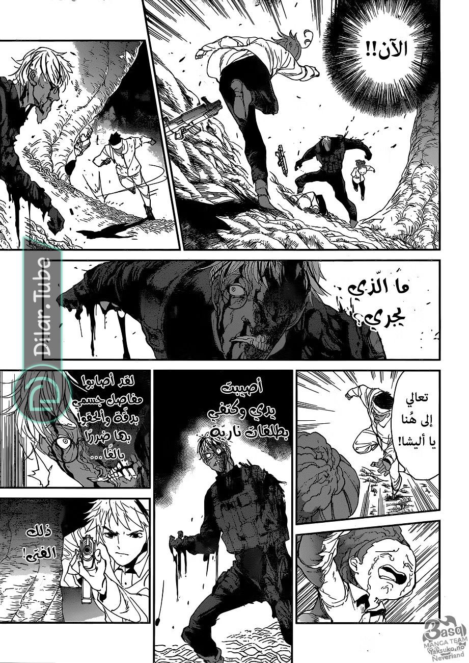 Read The Promised Neverland AR Manga Online