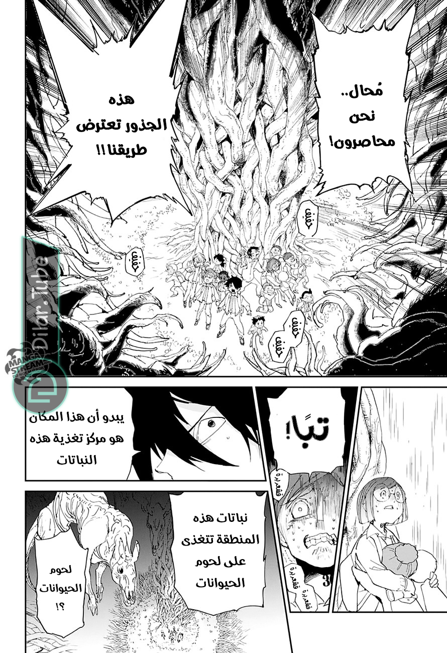 Read The Promised Neverland AR Manga Online