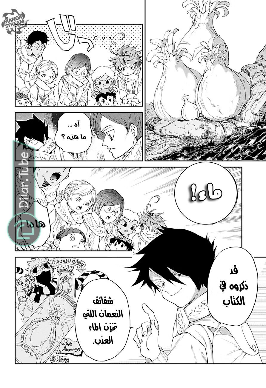 Read The Promised Neverland AR Manga Online
