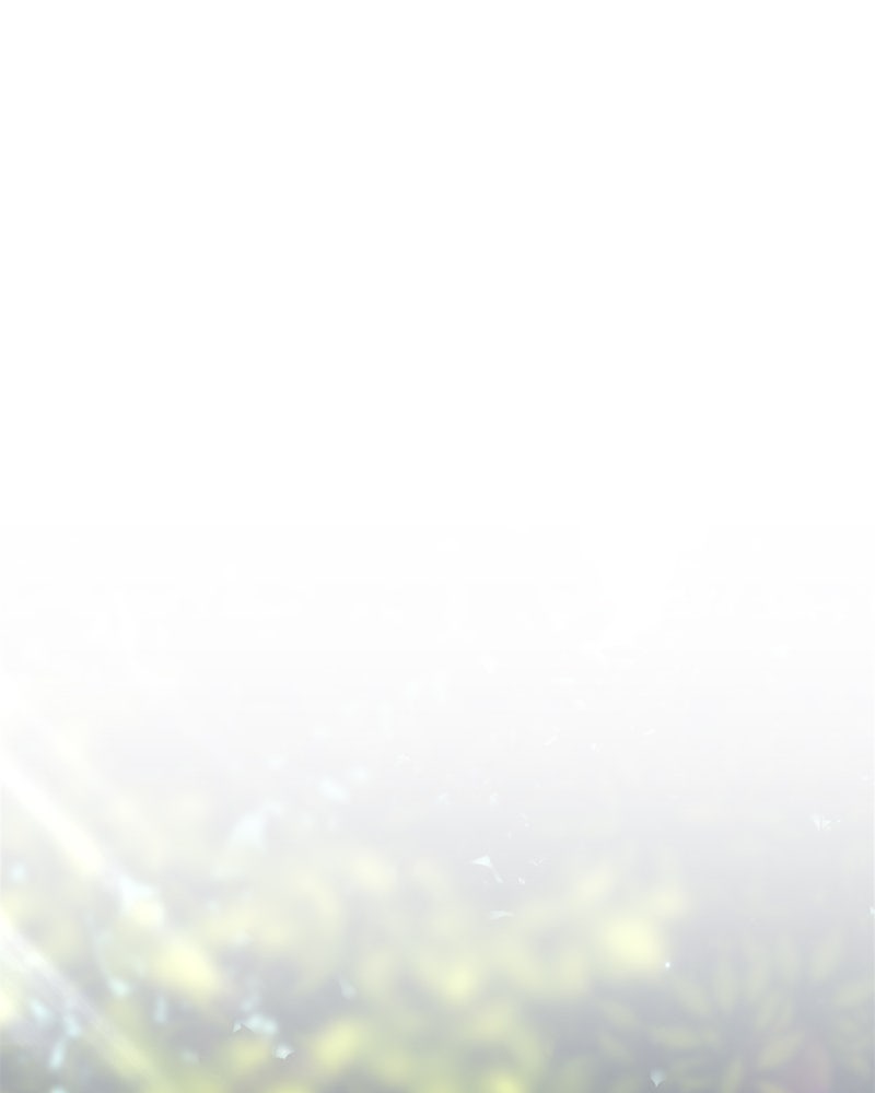 Read +99 Reinforced Wooden Stick EN Manga Online