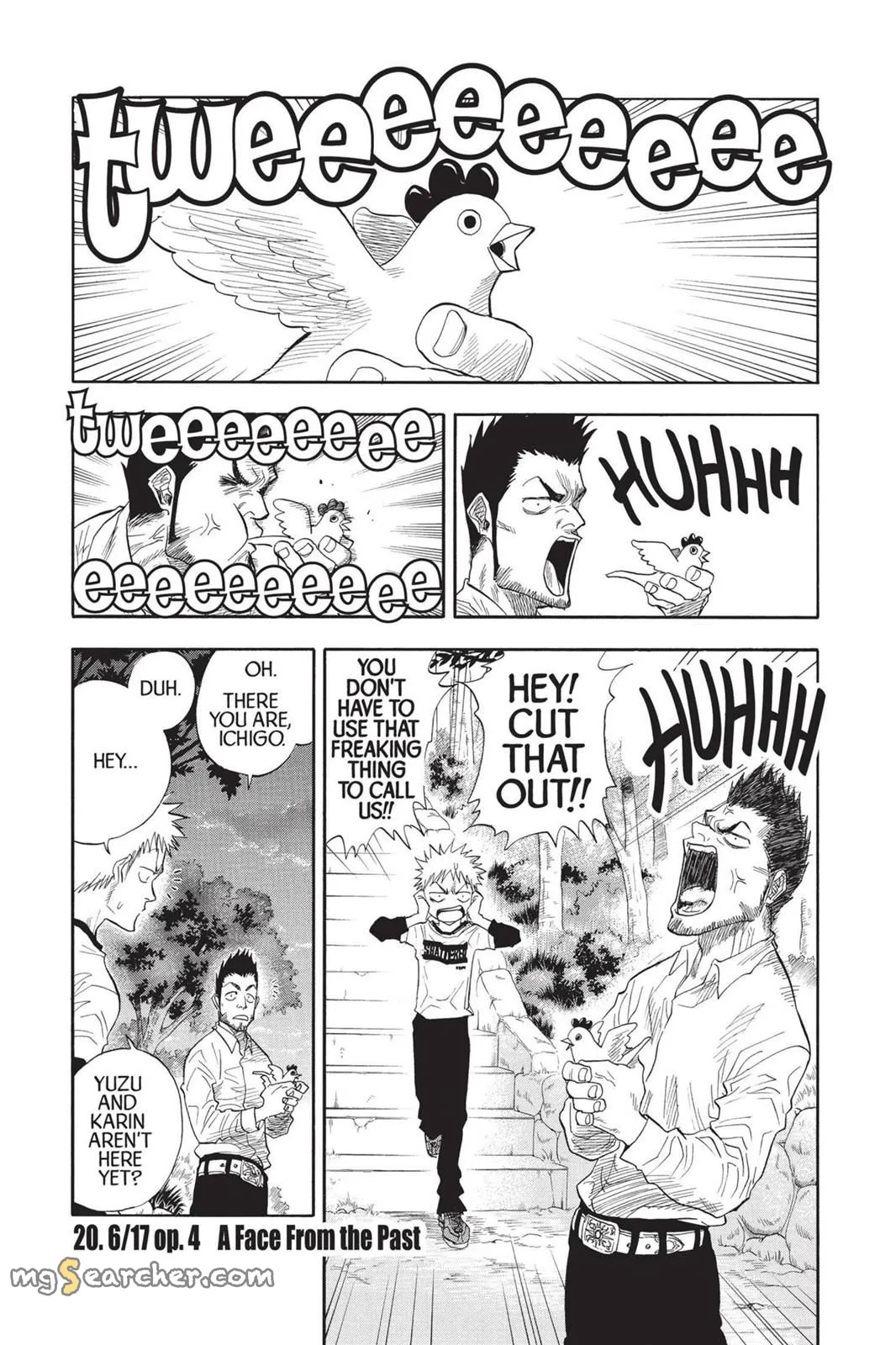Read Bleach EN Manga Online