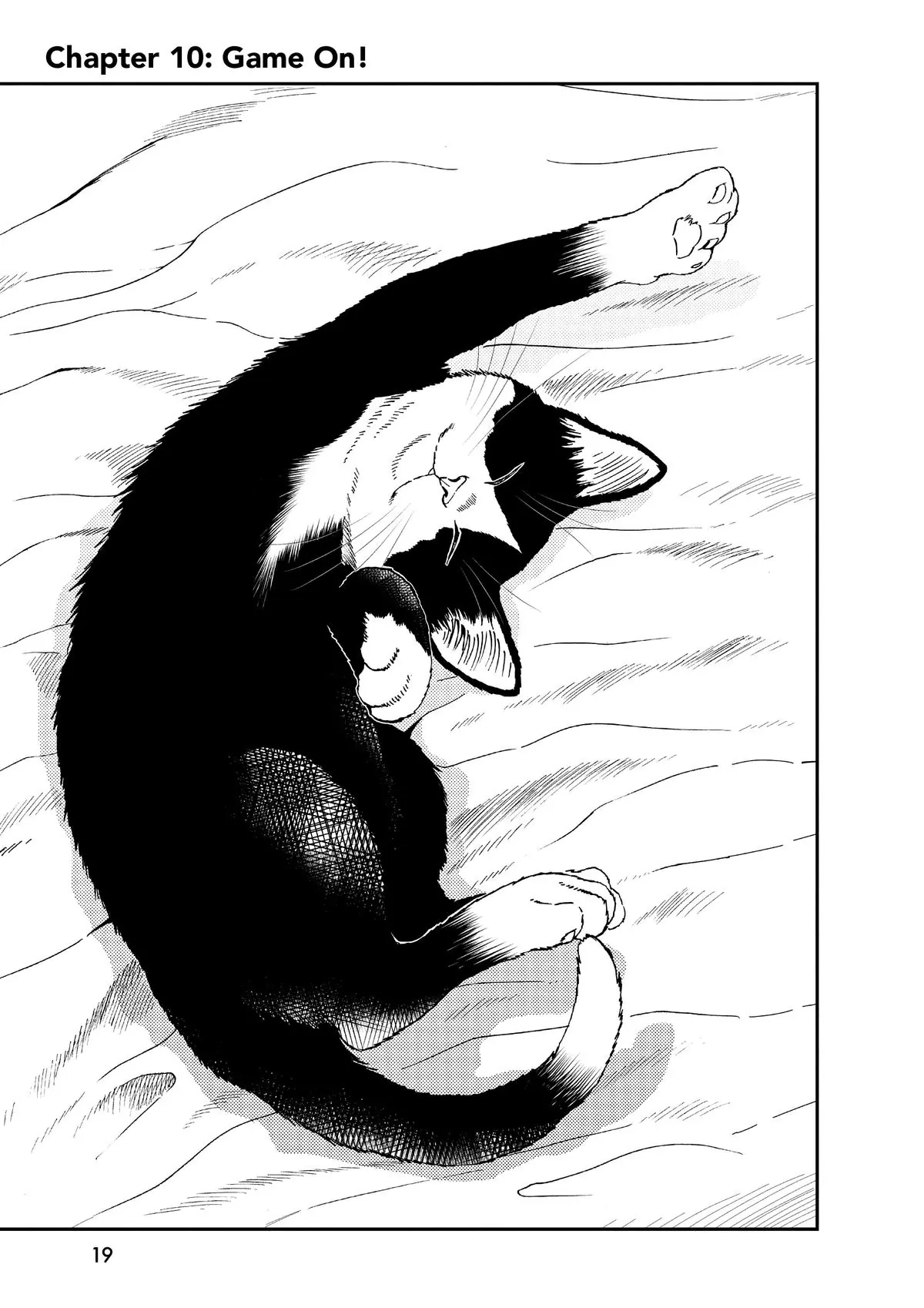 Read Cat + Gamer EN Manga Online