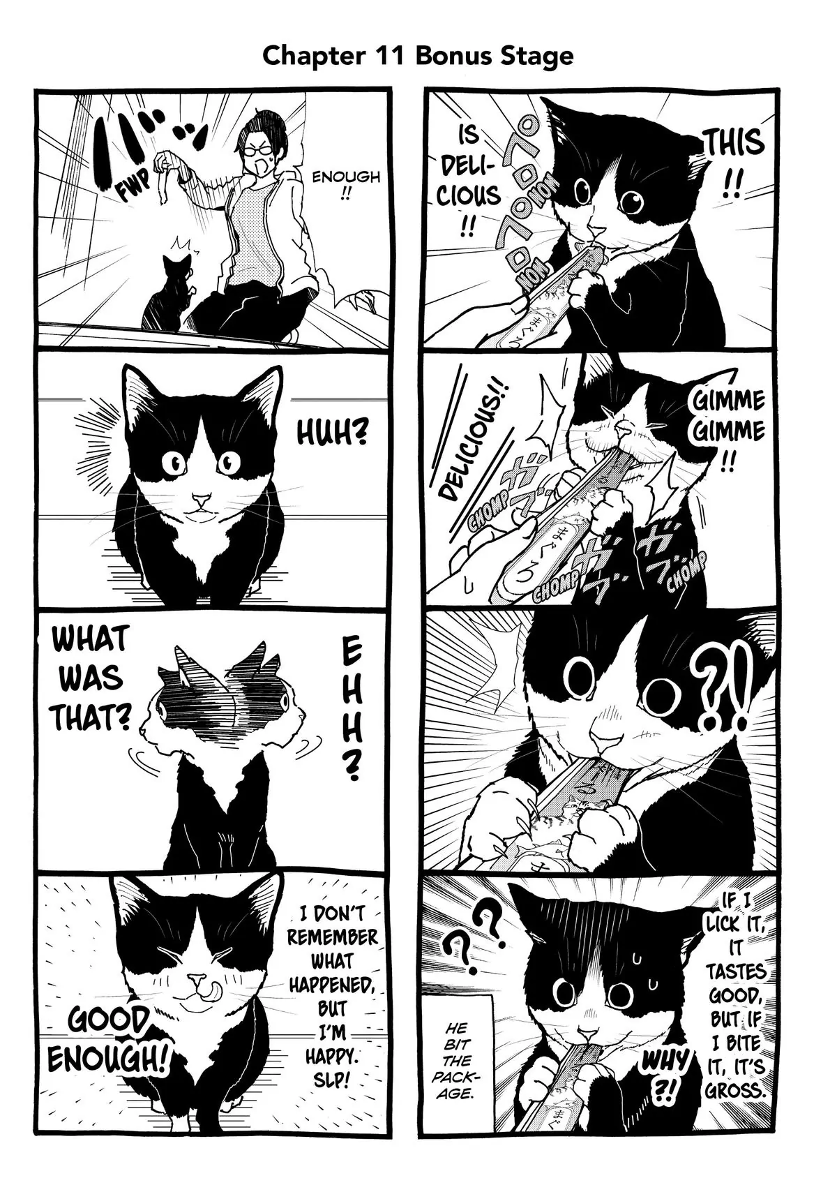 Read Cat + Gamer EN Manga Online
