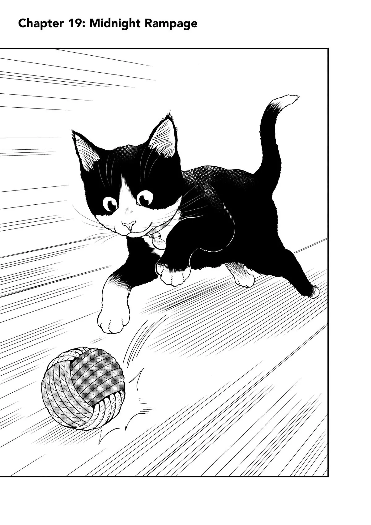 Read Cat + Gamer EN Manga Online