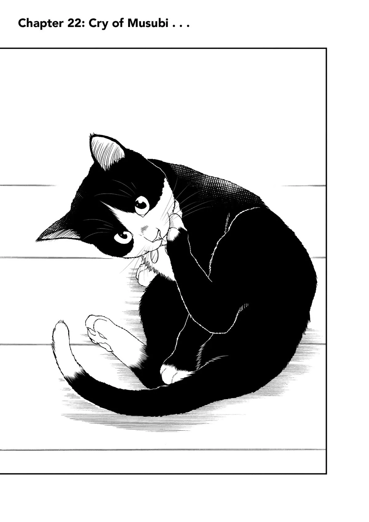 Read Cat + Gamer EN Manga Online