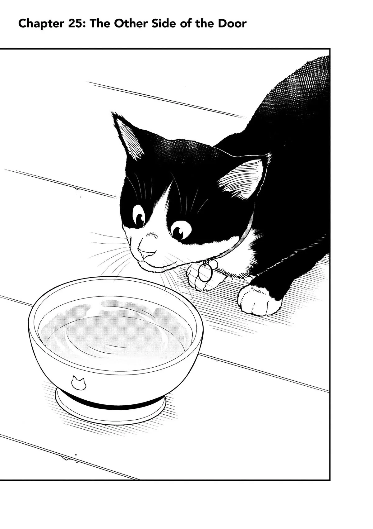 Read Cat + Gamer EN Manga Online
