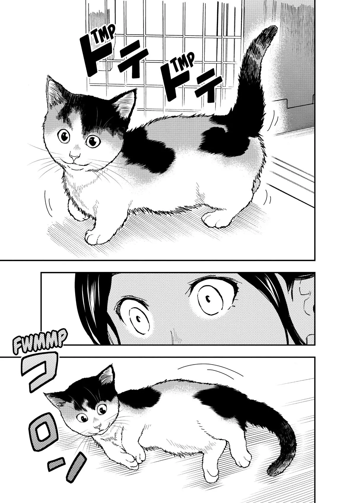 Read Cat + Gamer EN Manga Online