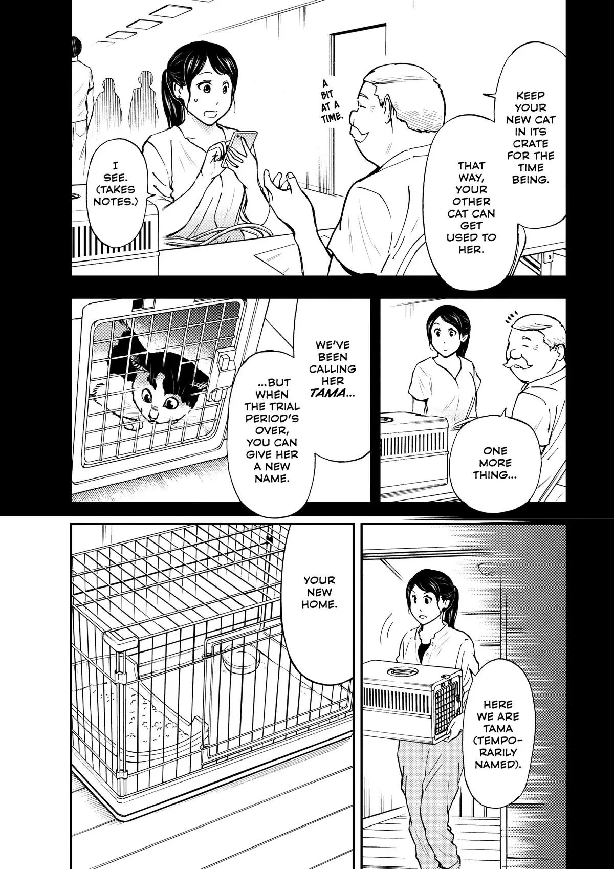 Read Cat + Gamer EN Manga Online