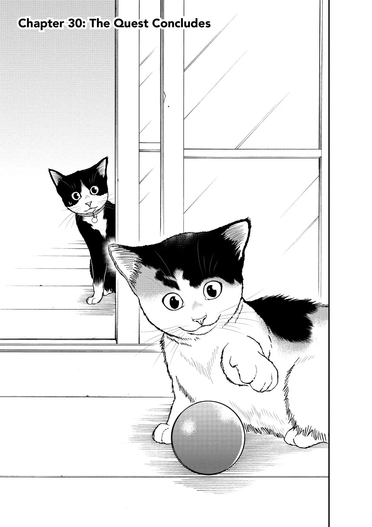 Read Cat + Gamer EN Manga Online