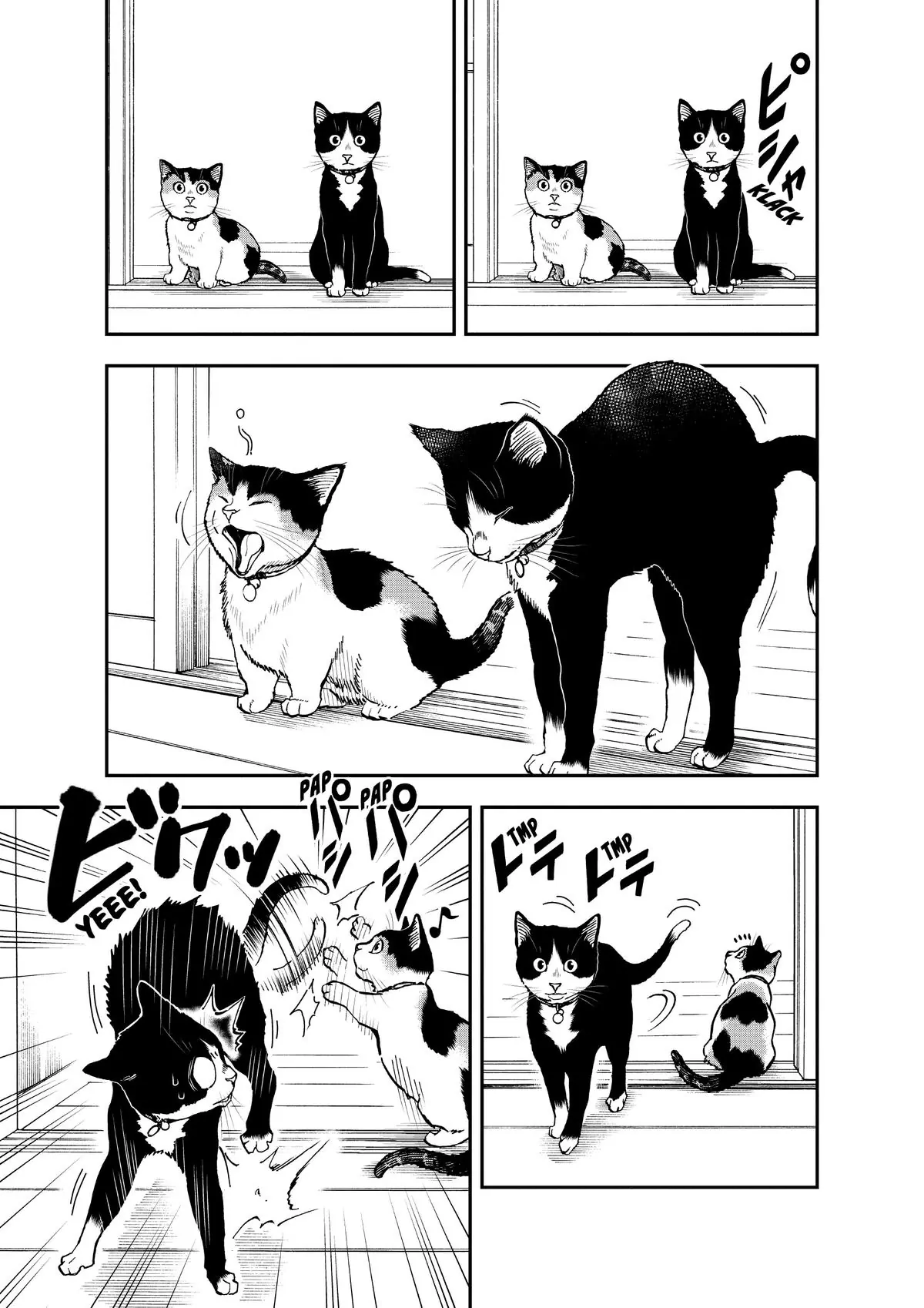 Read Cat + Gamer EN Manga Online