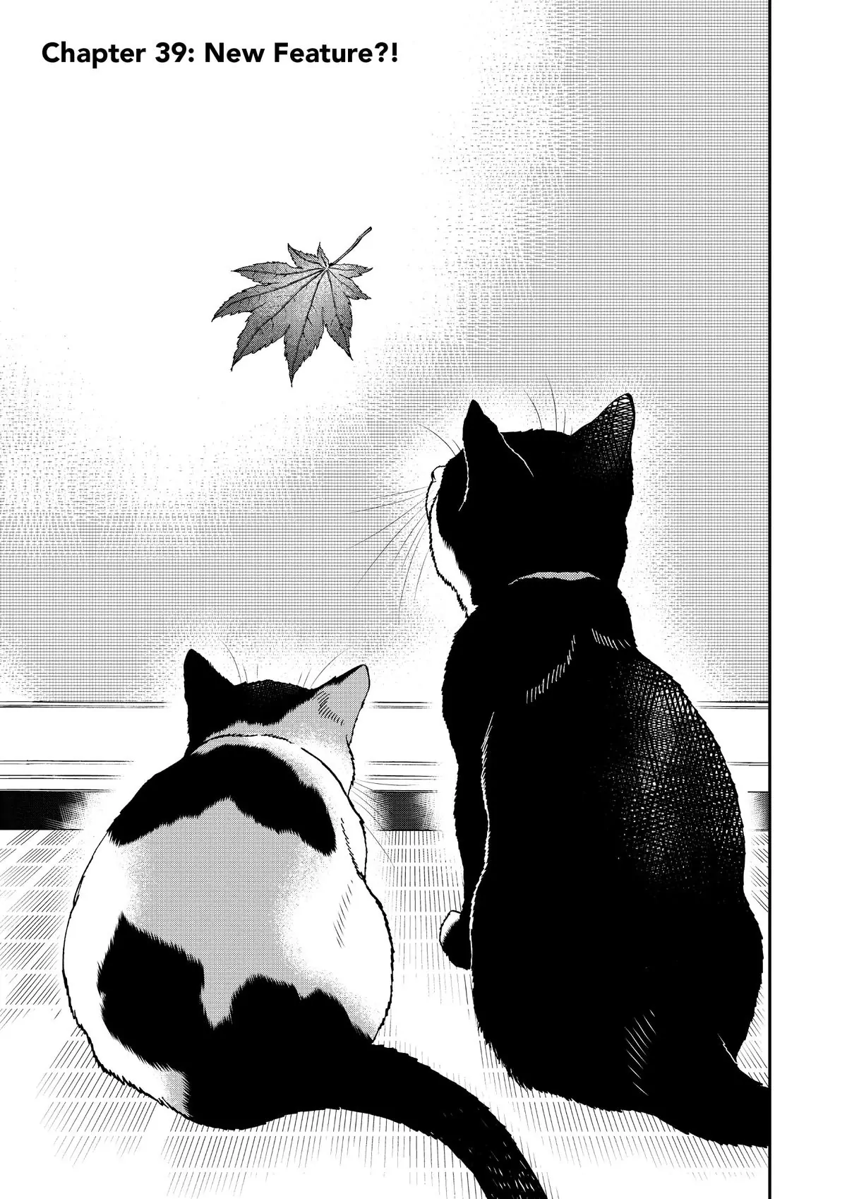 Read Cat + Gamer EN Manga Online