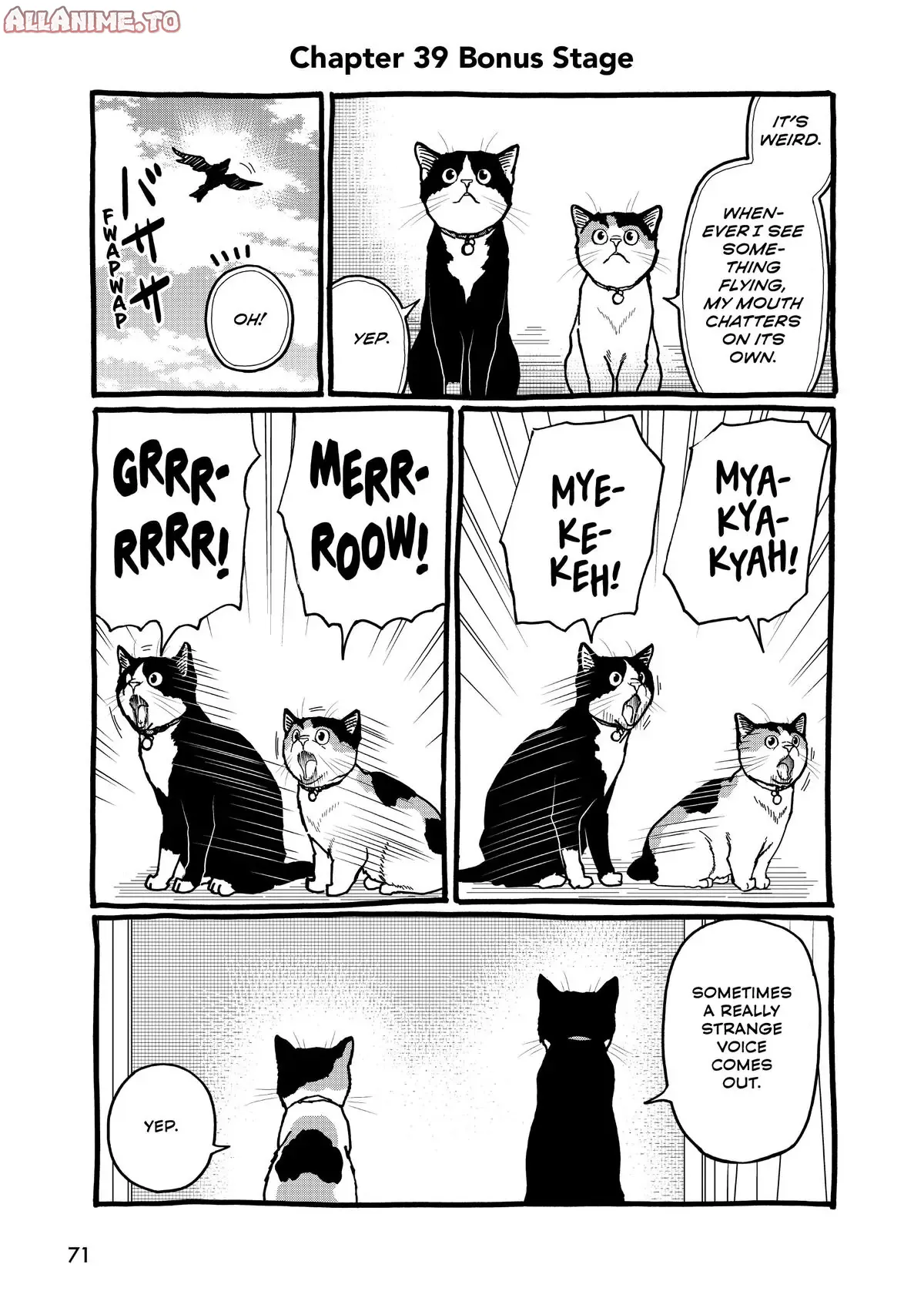 Read Cat + Gamer EN Manga Online