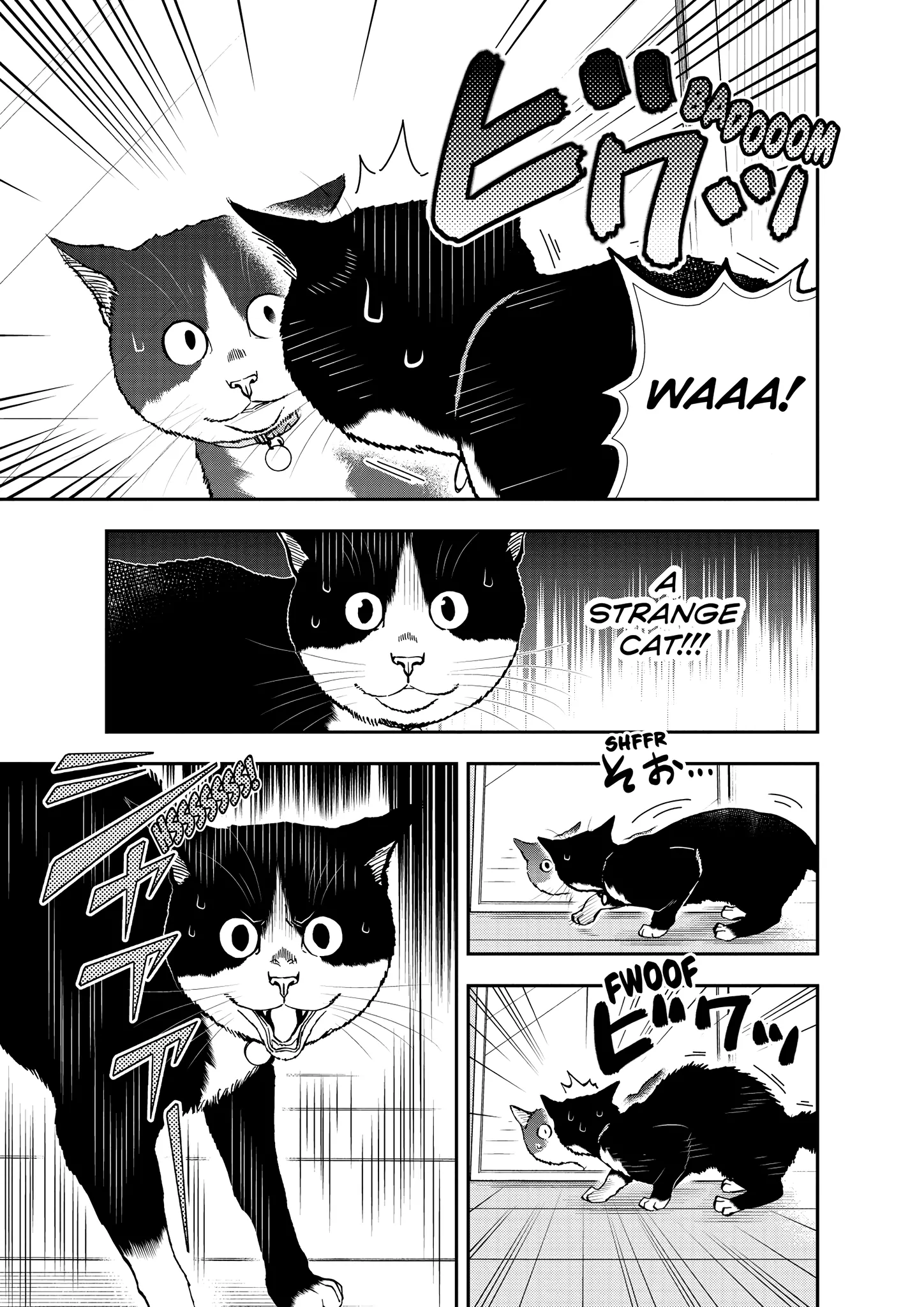 Read Cat + Gamer EN Manga Online