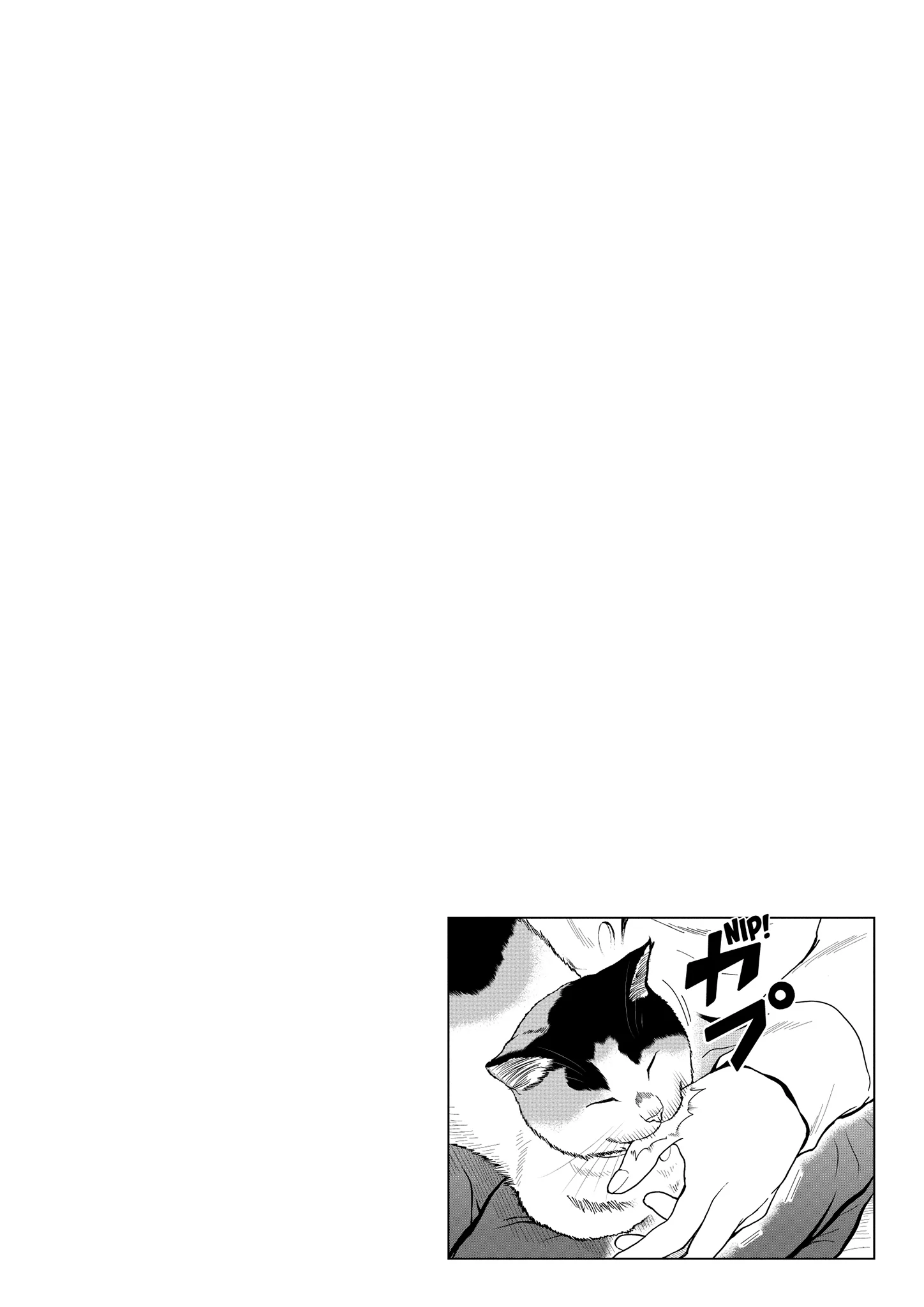 Read Cat + Gamer EN Manga Online