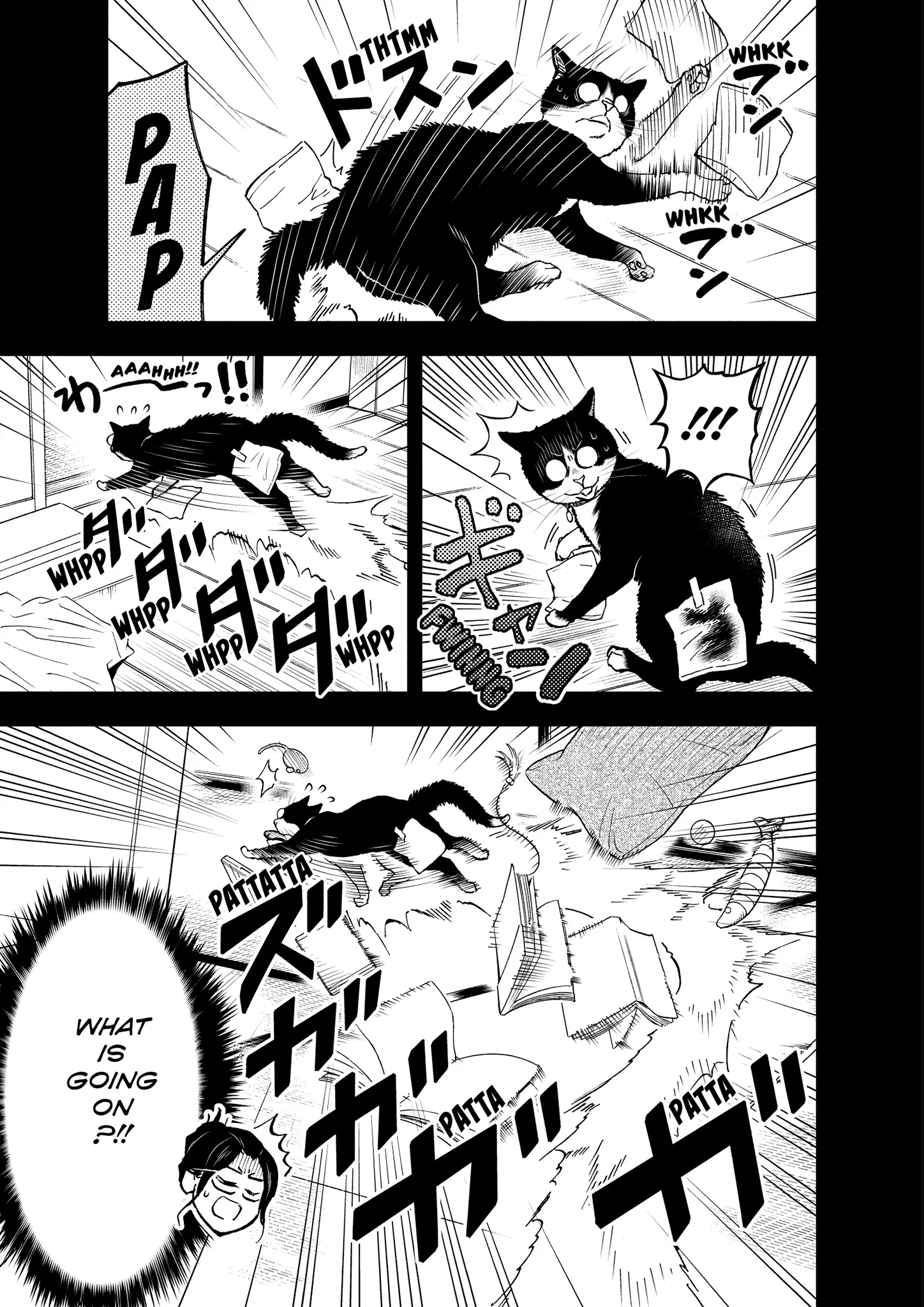 Read Cat + Gamer EN Manga Online
