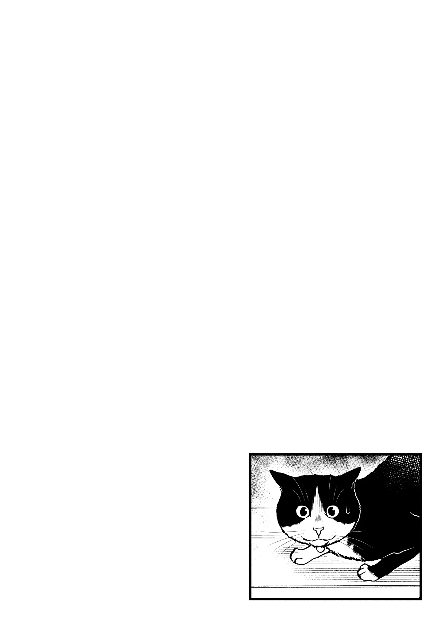 Read Cat + Gamer EN Manga Online