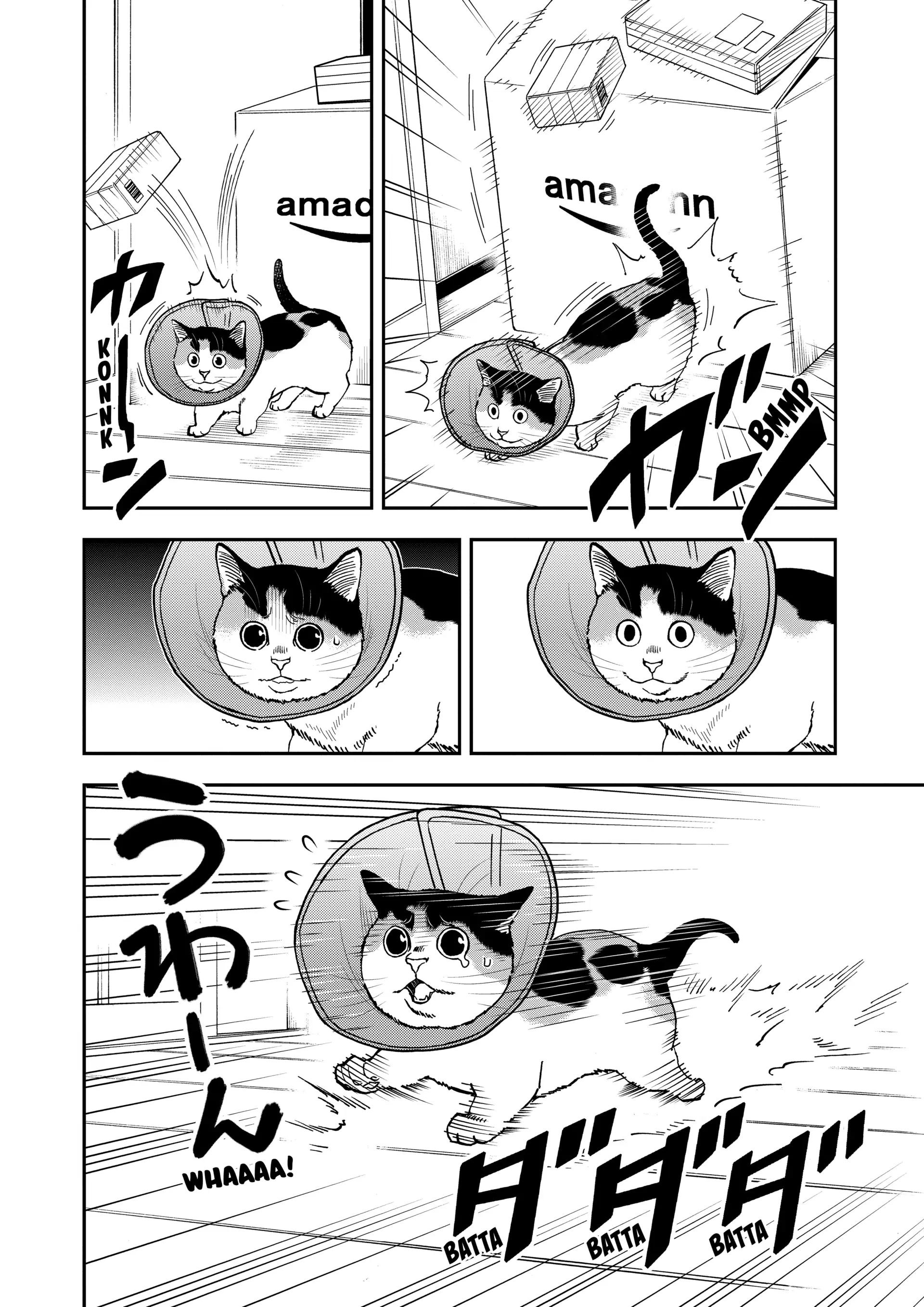 Read Cat + Gamer EN Manga Online