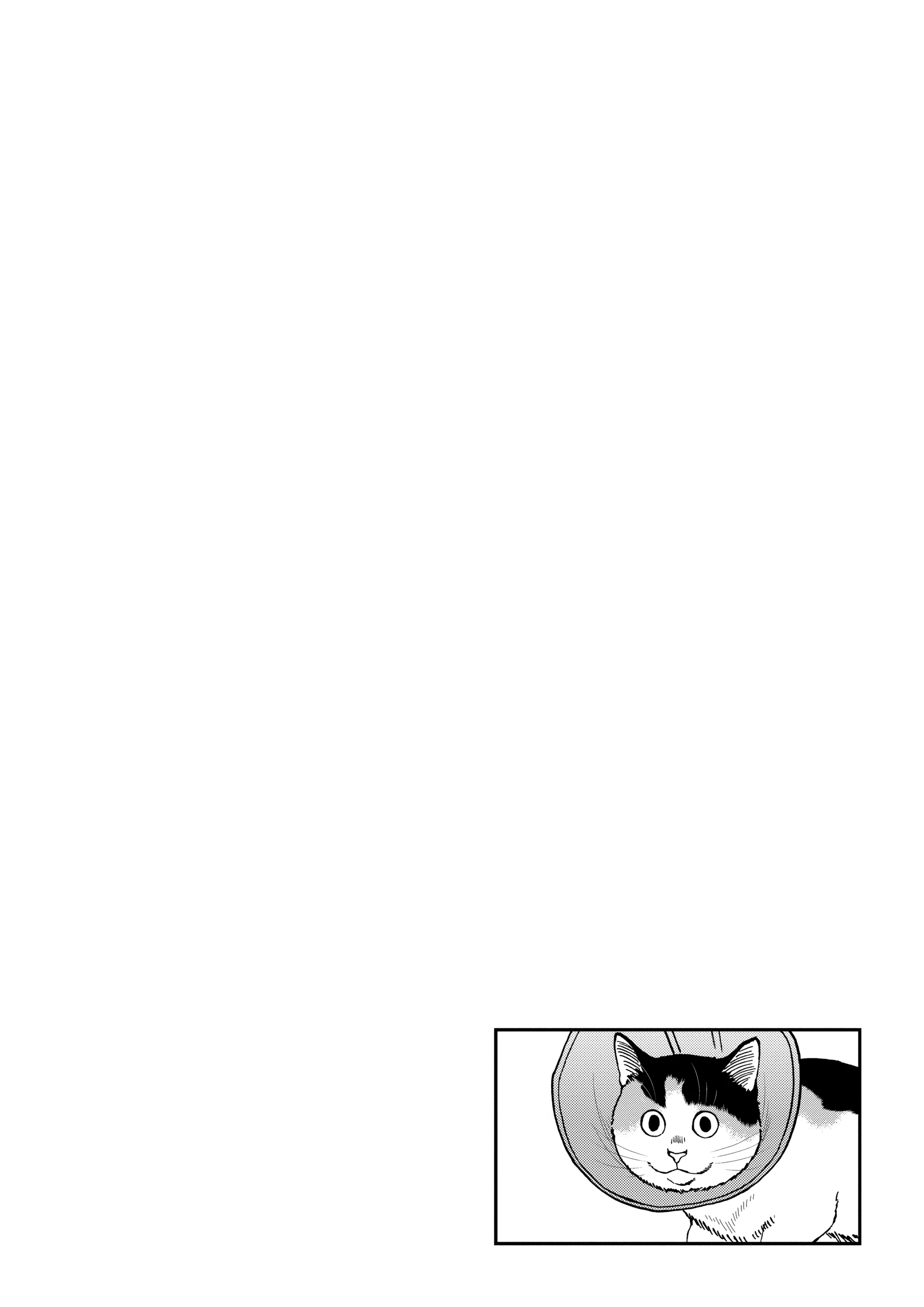 Read Cat + Gamer EN Manga Online