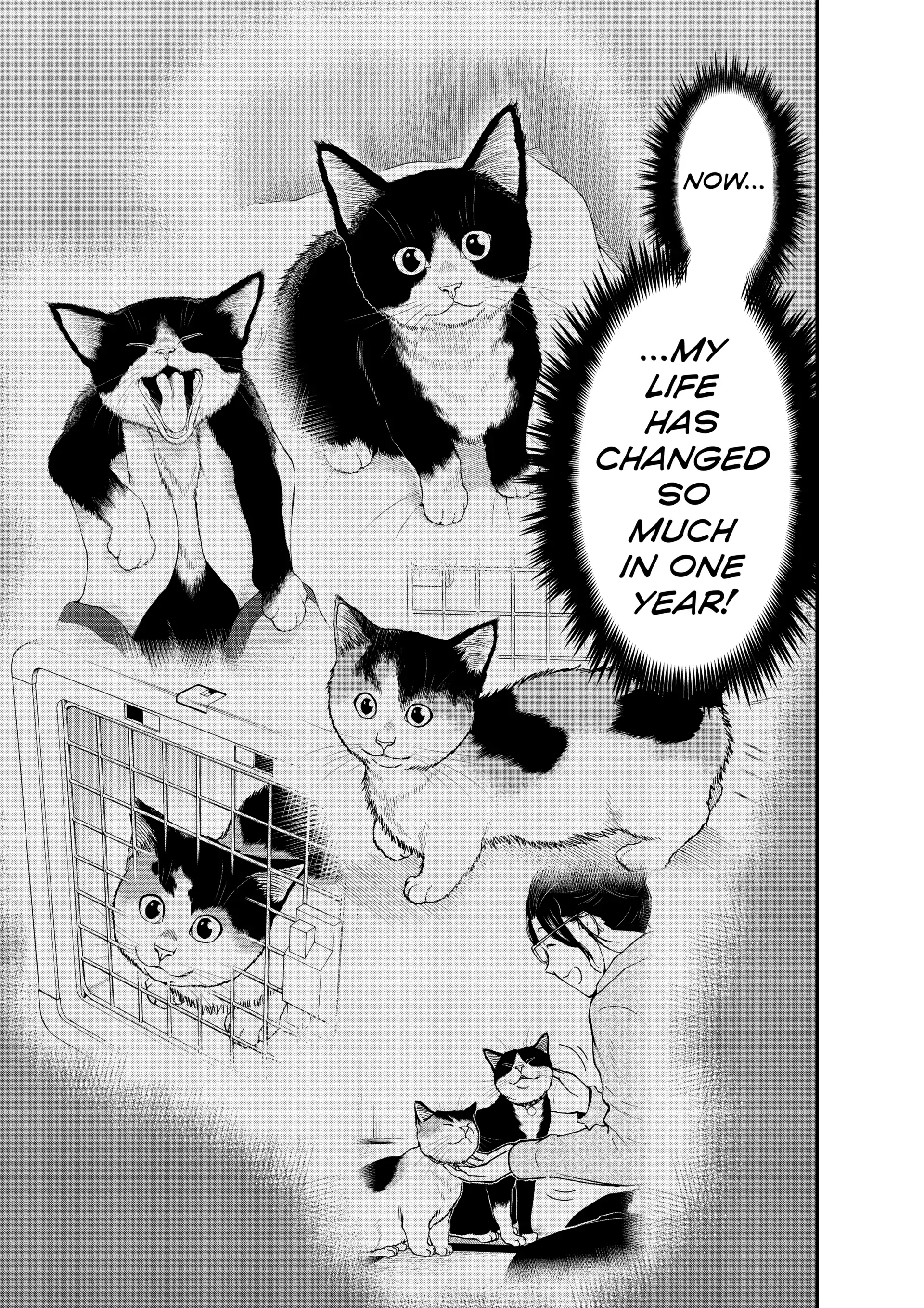 Read Cat + Gamer EN Manga Online