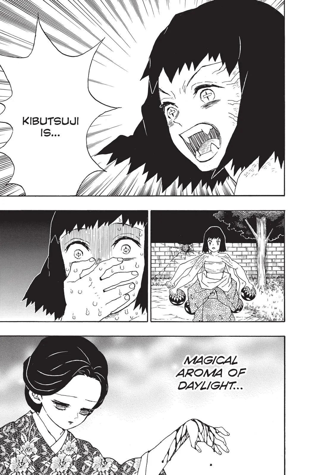 Read Demon Slayer EN Manga Online