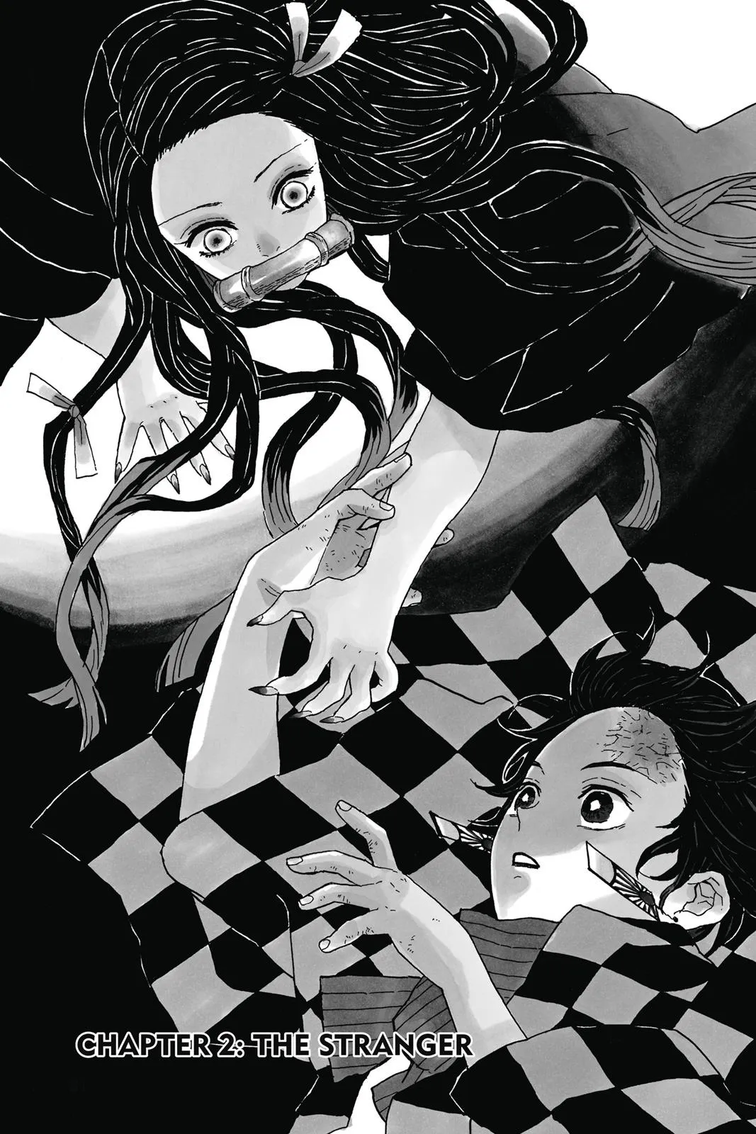 Read Demon Slayer EN Manga Online