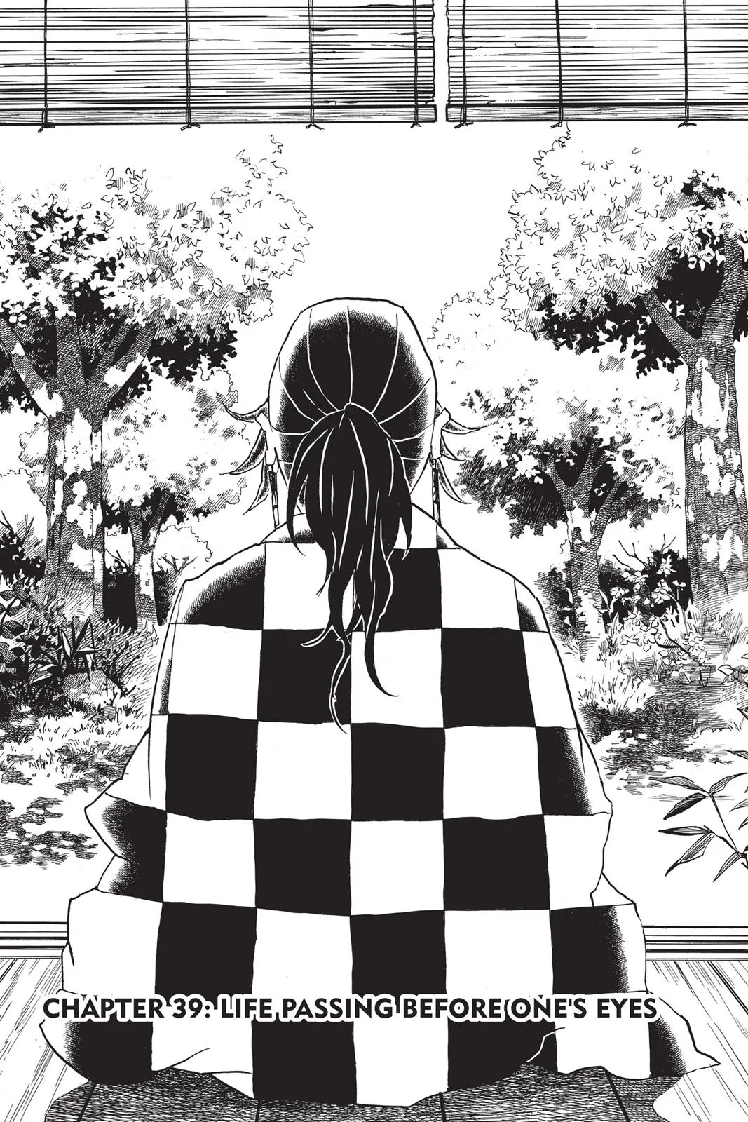 Read Demon Slayer EN Manga Online