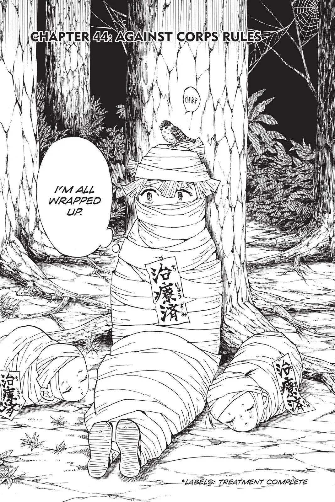 Read Demon Slayer EN Manga Online
