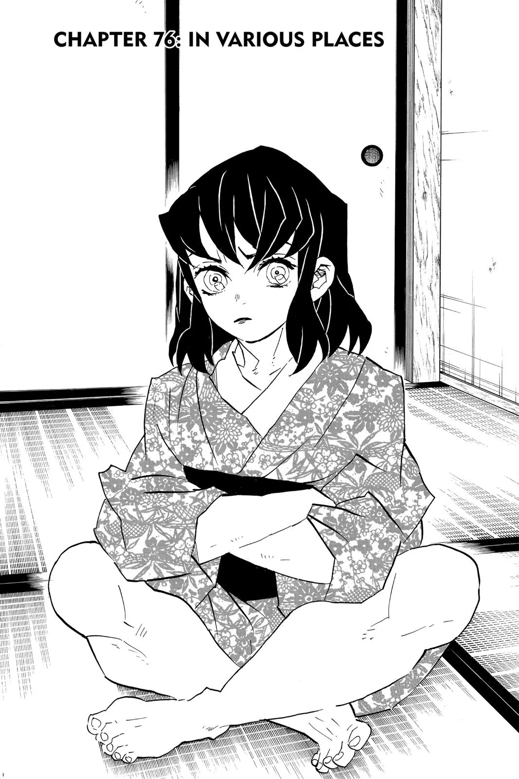 Read Demon Slayer EN Manga Online