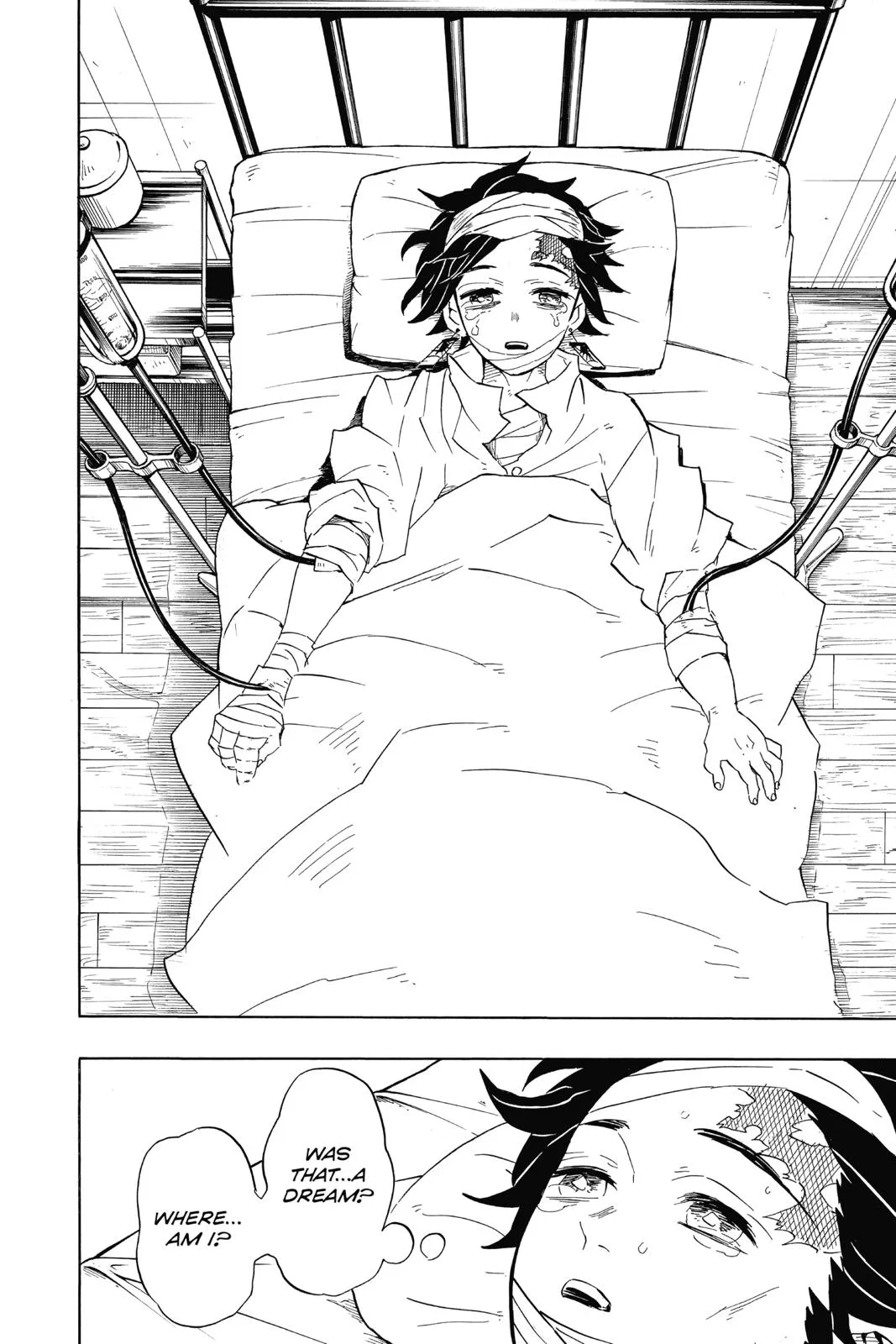 Read Demon Slayer EN Manga Online