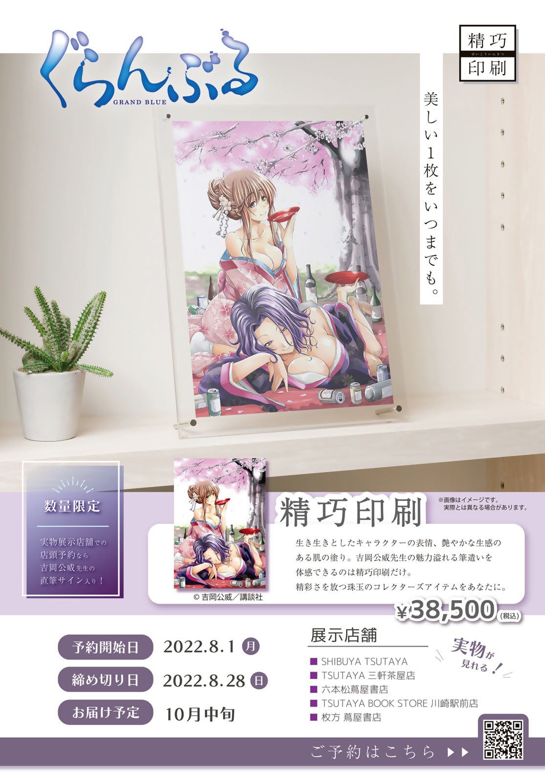 Read Grand Blue Dreaming EN Manga Online