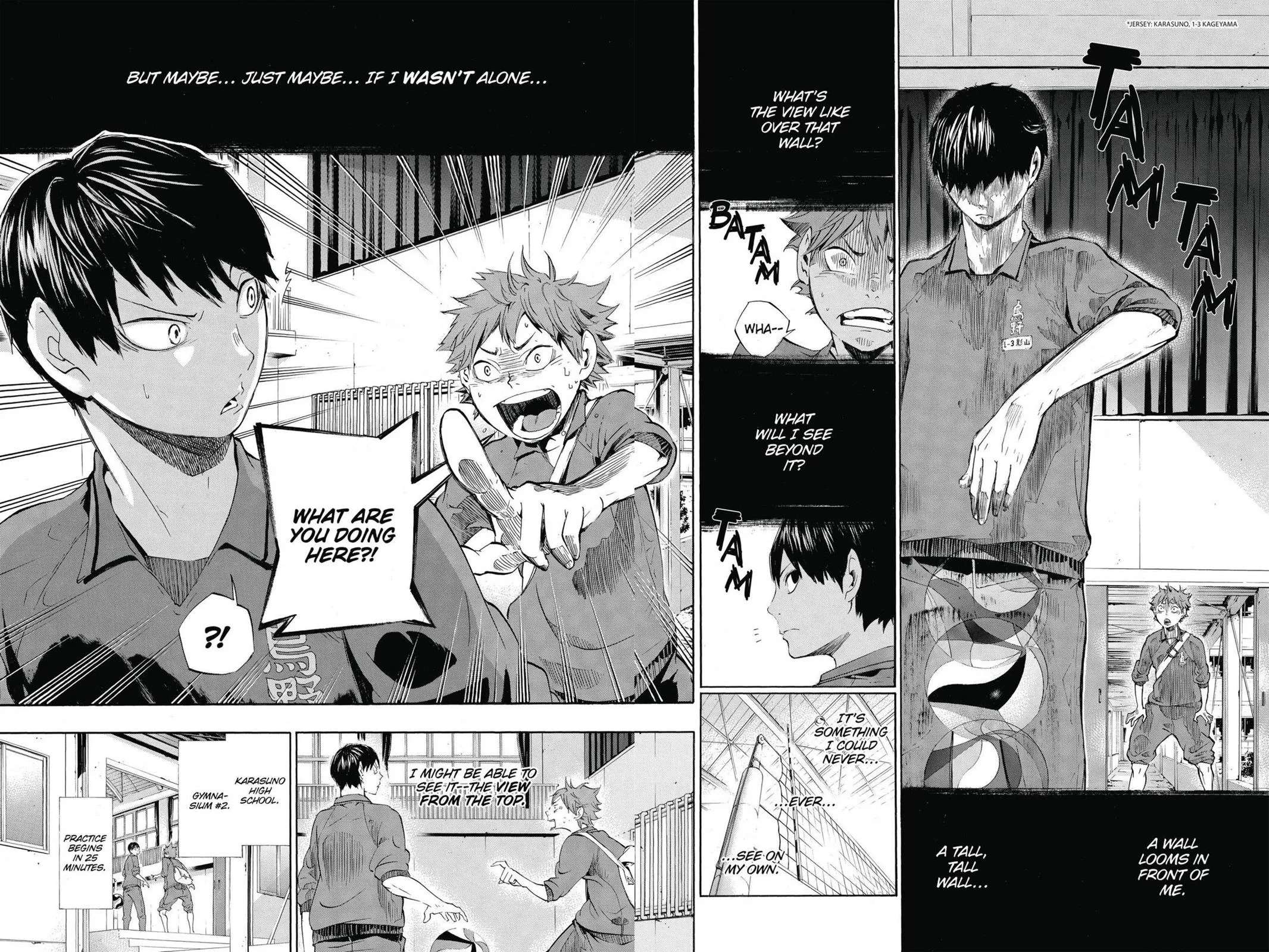 Read Haikyu!! EN Manga Online