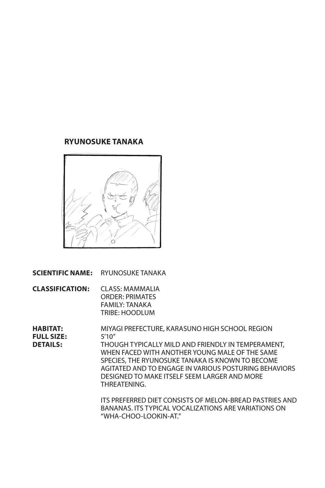 Read Haikyu!! EN Manga Online