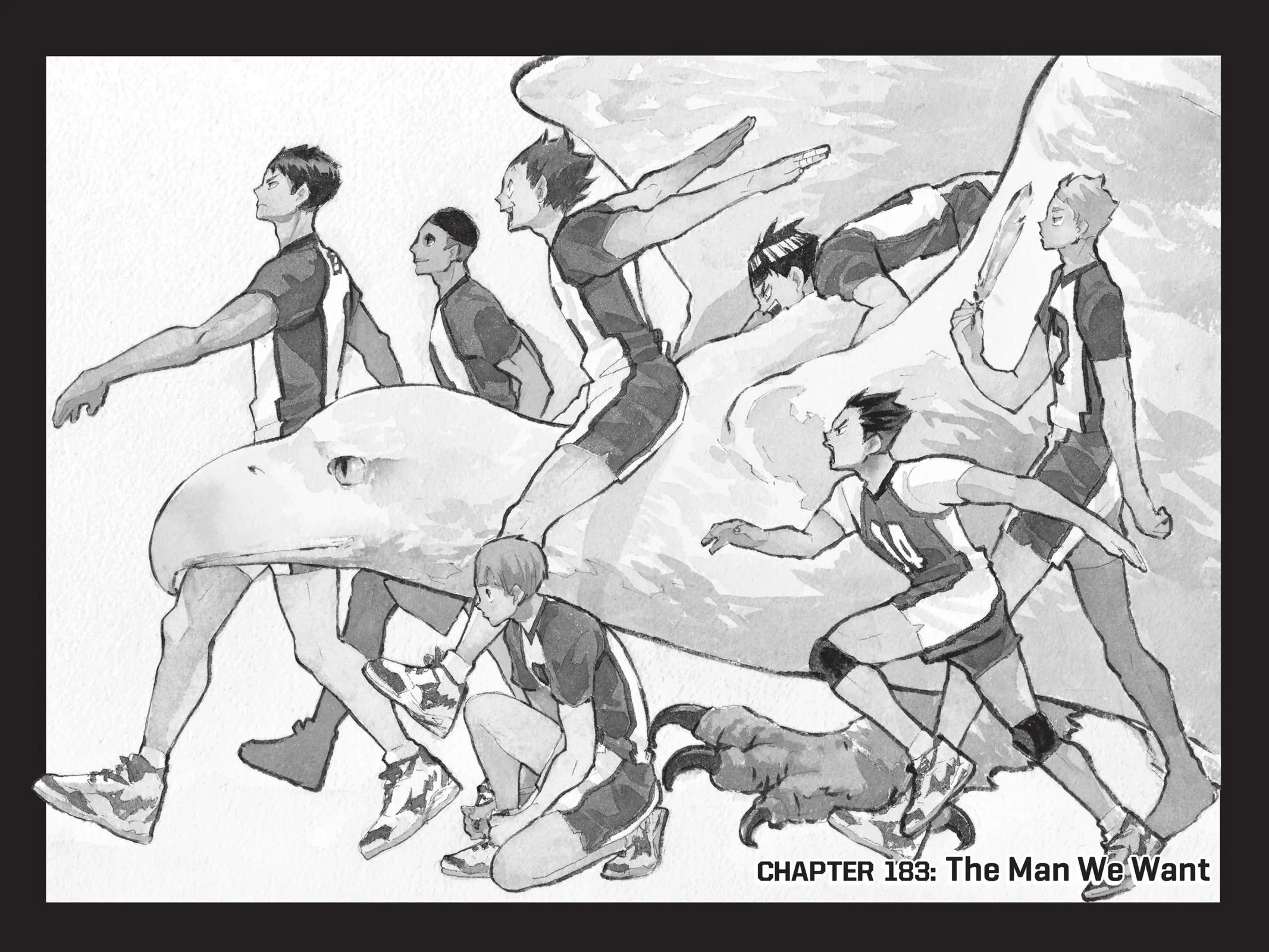 Read Haikyu!! EN Manga Online