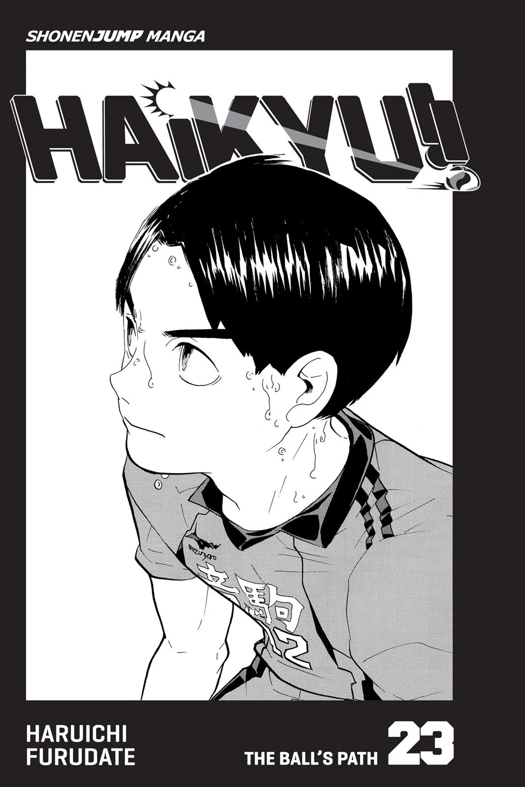 Read Haikyu!! EN Manga Online