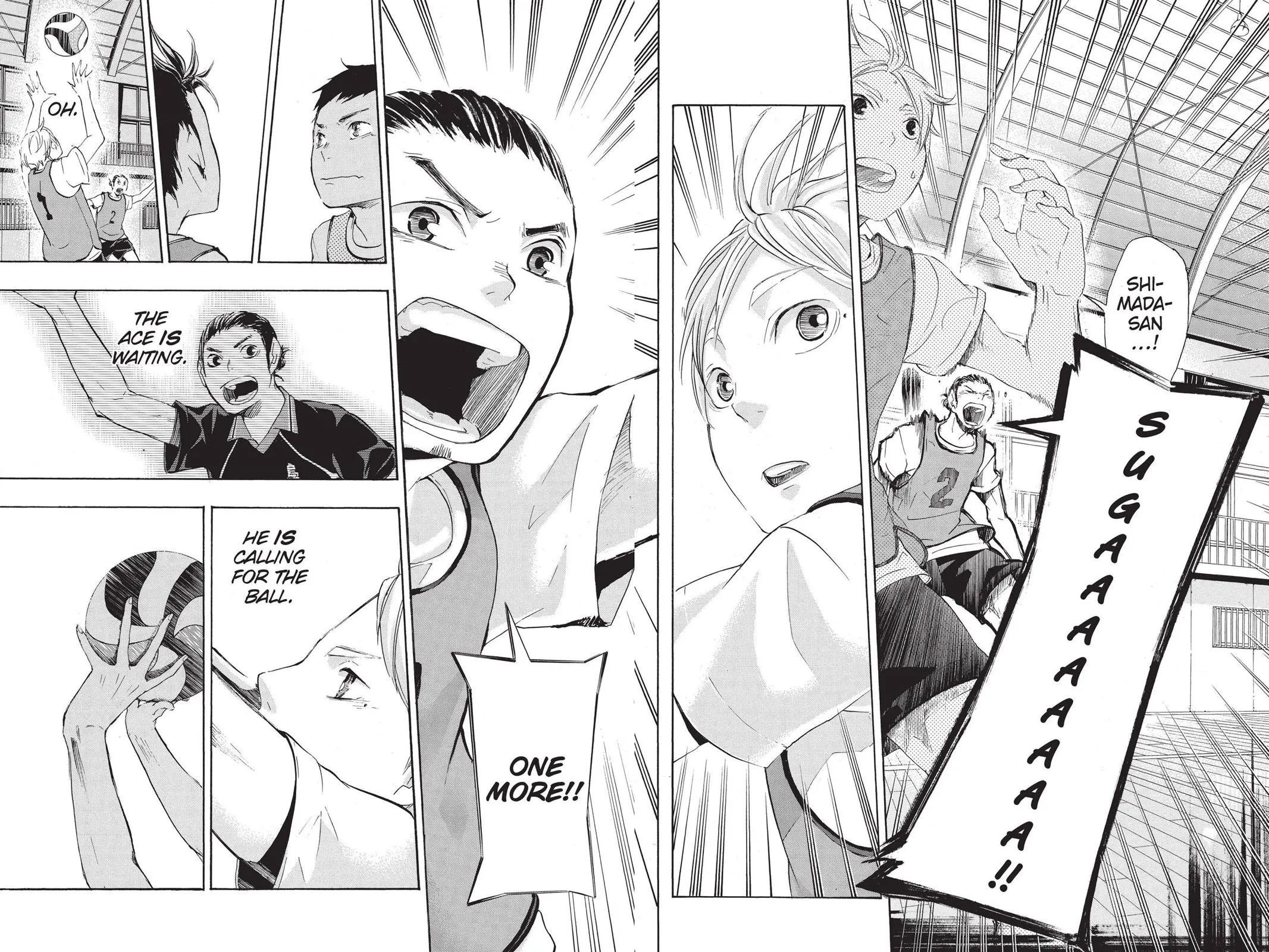 Read Haikyu!! EN Manga Online