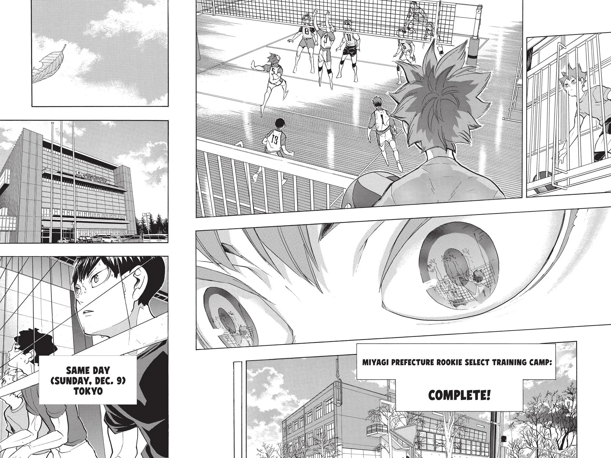 Read Haikyu!! EN Manga Online