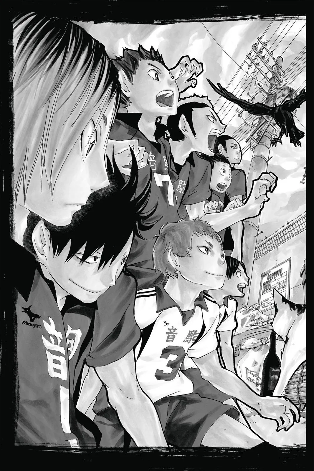 Read Haikyu!! EN Manga Online