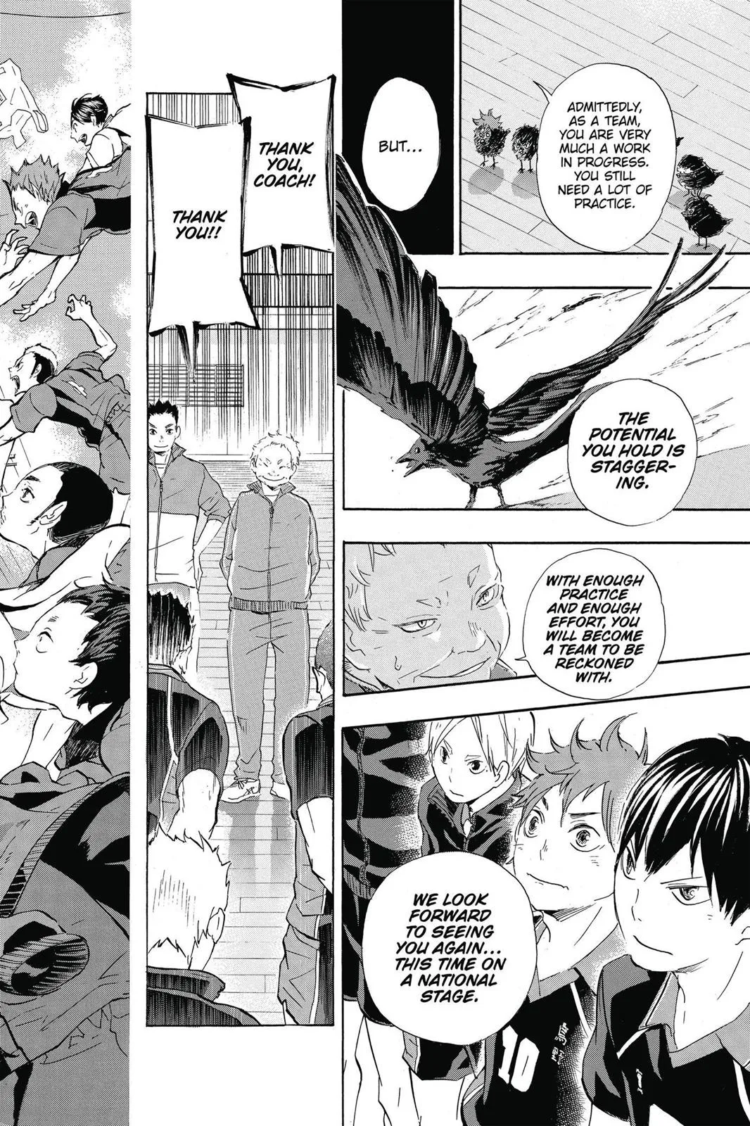 Read Haikyu!! EN Manga Online