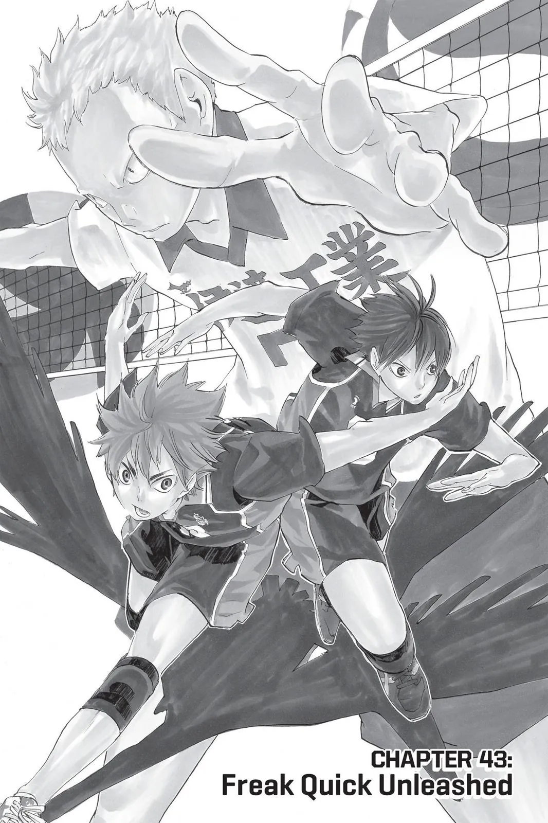 Read Haikyu!! EN Manga Online
